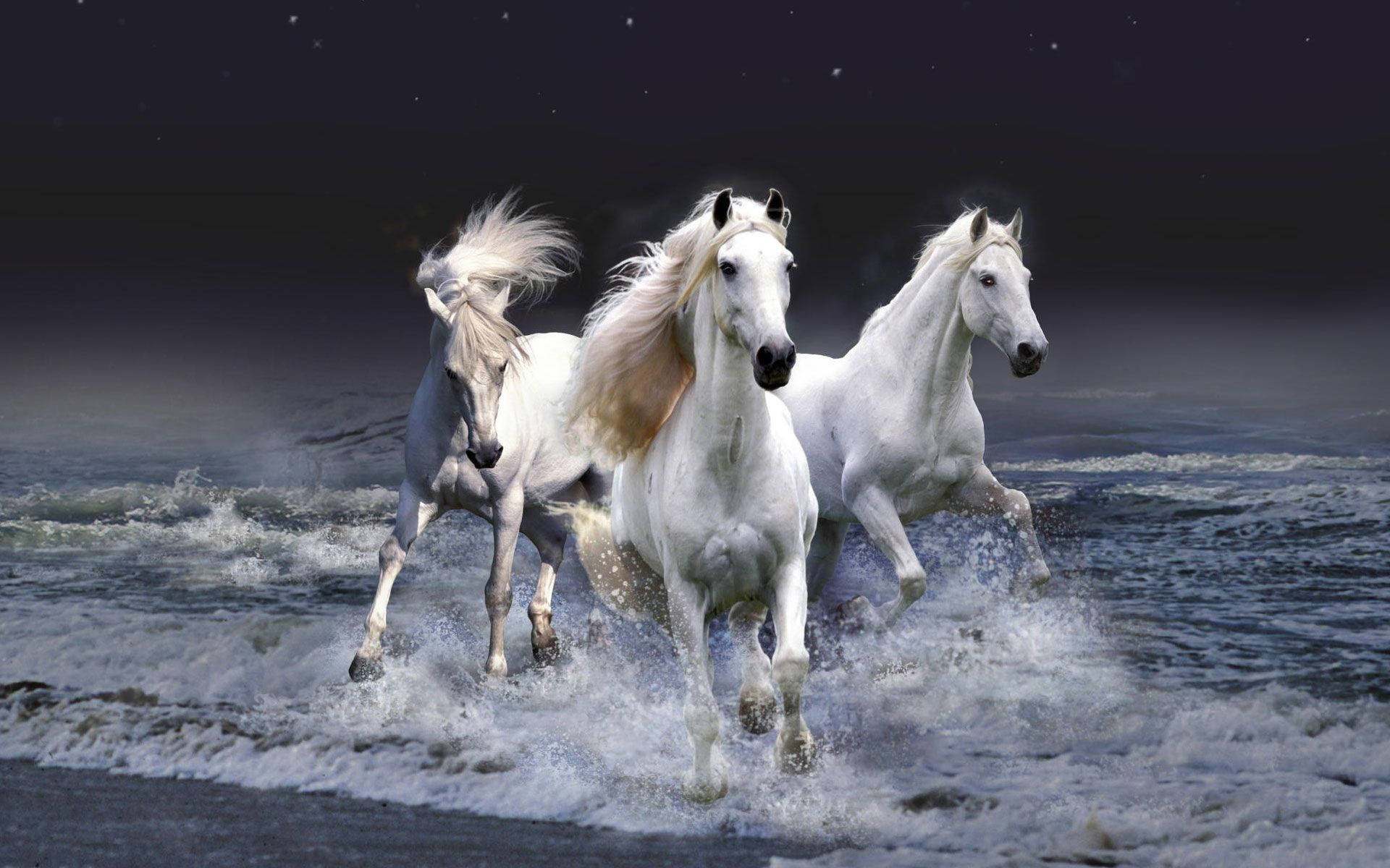 Beautiful Horses Running By The Sea Wallpaper