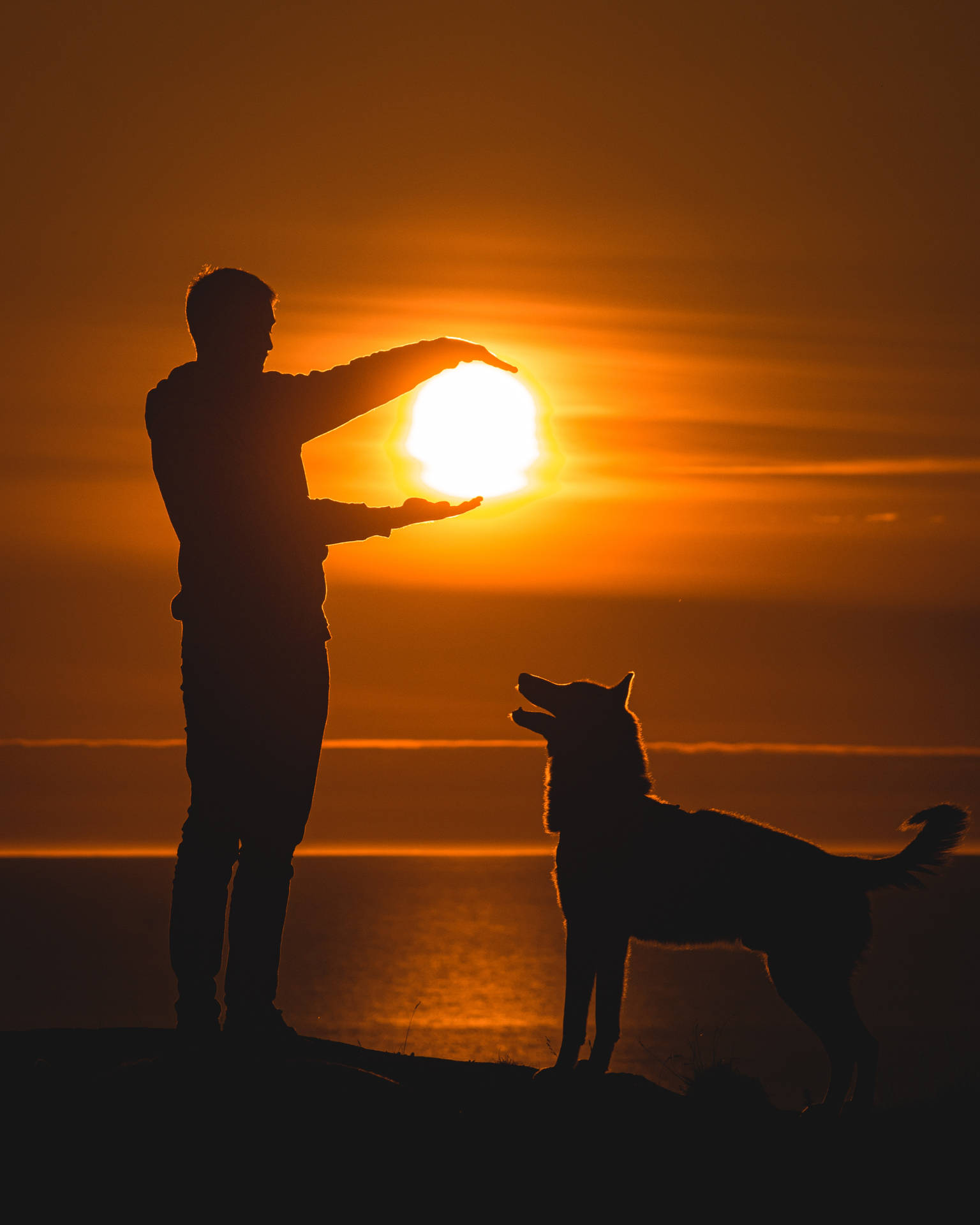 Beautiful Iphone Man Dog Sun