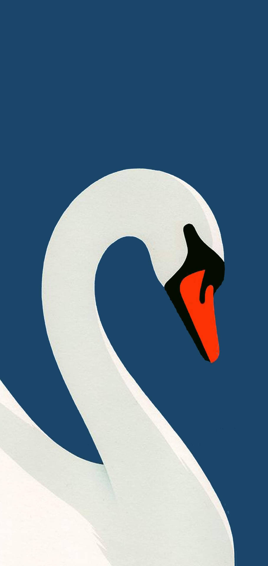 Bellissimo Iphone Swan Sfondo