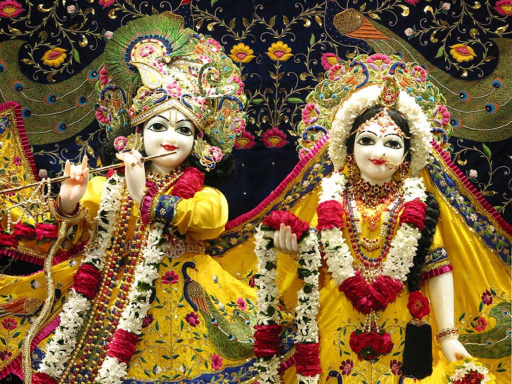 Smukke Krishna og Radha gudfigurer pryde dette tapet. Wallpaper