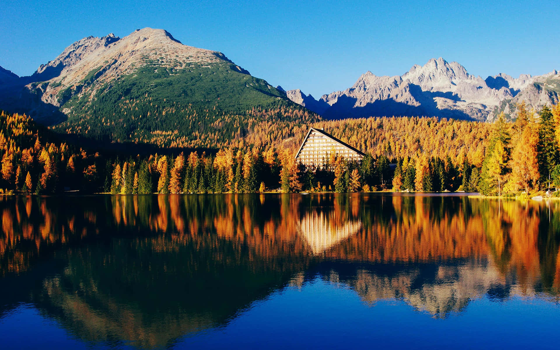 Smuk sø i Slovakiet brune og beige natur tapet Wallpaper