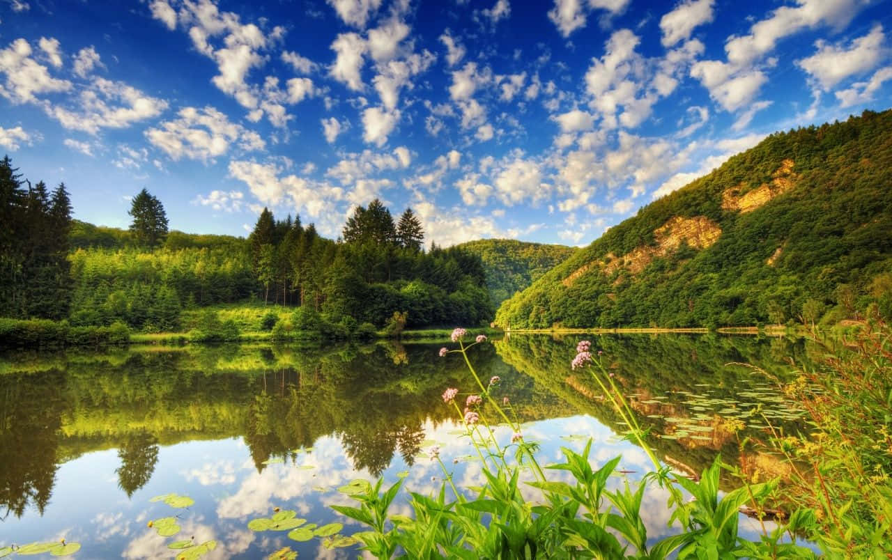 Finde ro og skønhed i naturen ved denne fredfyldte sø. Wallpaper