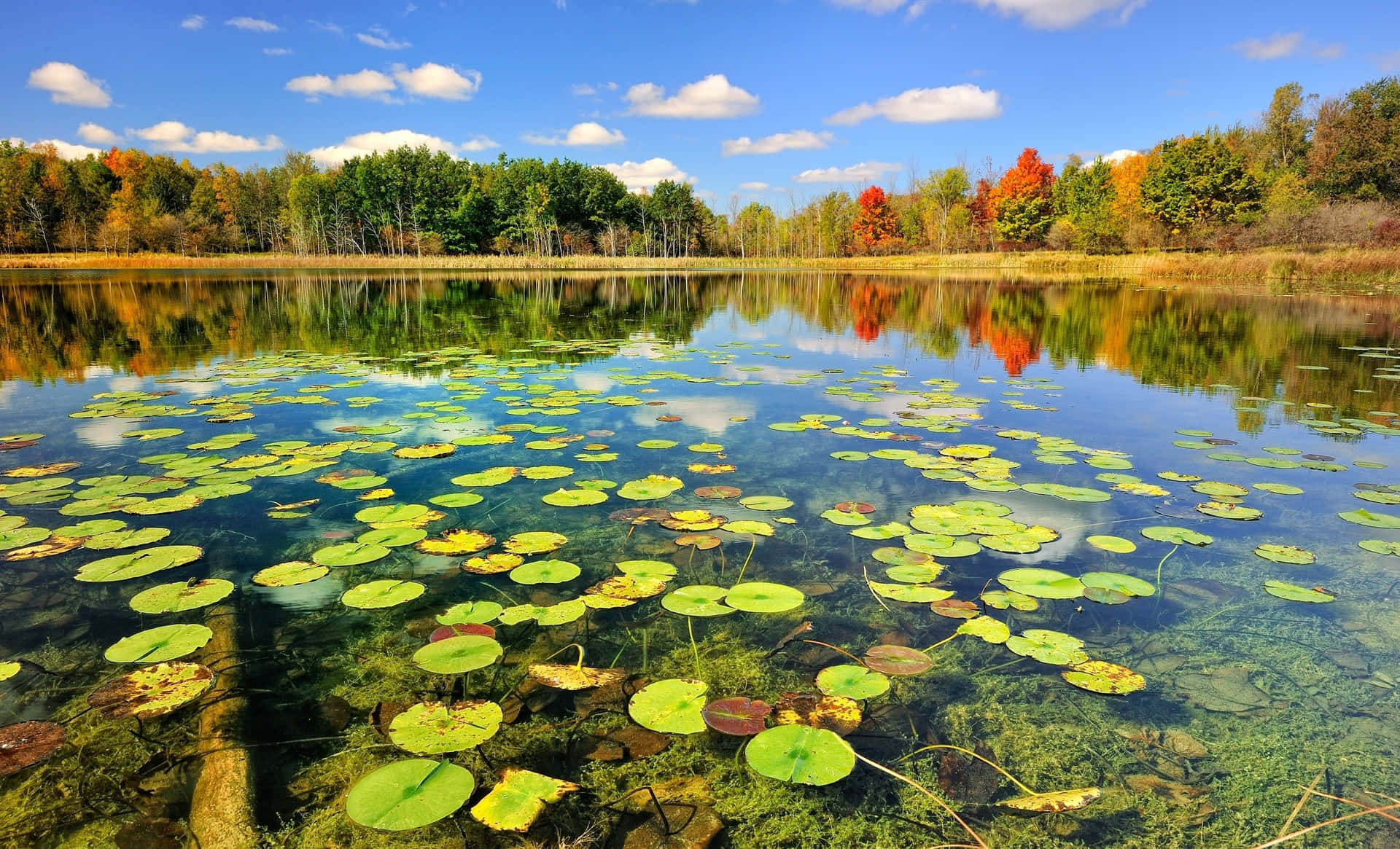 Nyd skønheden i naturen og tag tid til at nyde den uberørte sø af denne smukke sø. Wallpaper