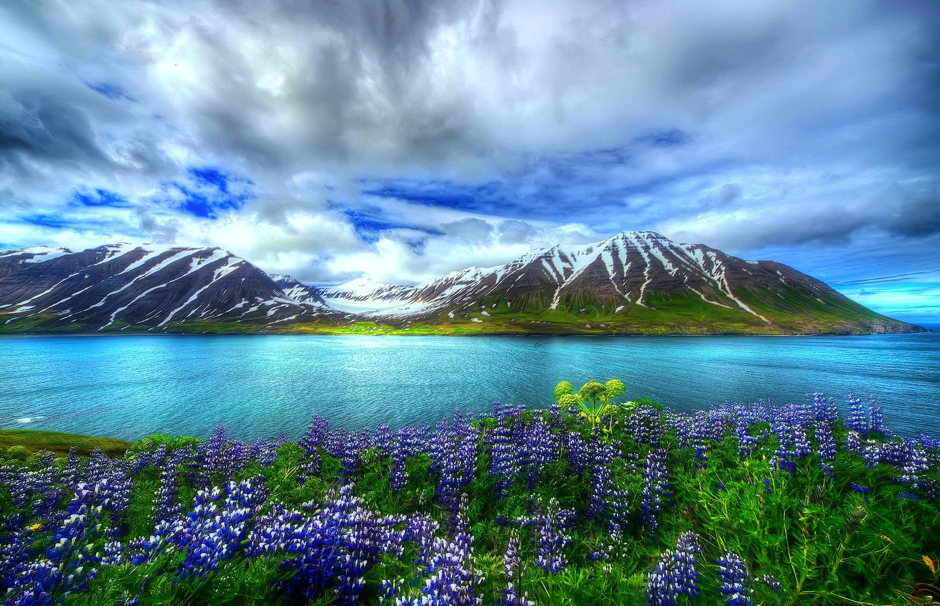 Beautiful Landscape Flower Island Wallpaper