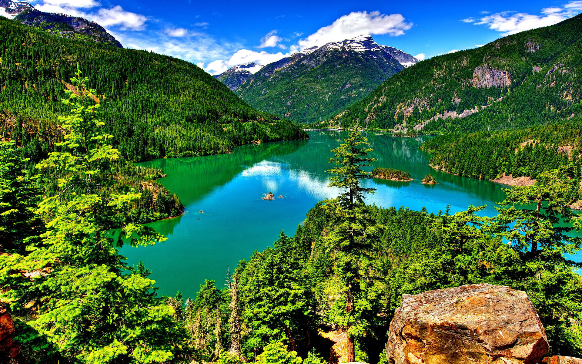 Beautiful Landscape Forest Lake Wallpaper