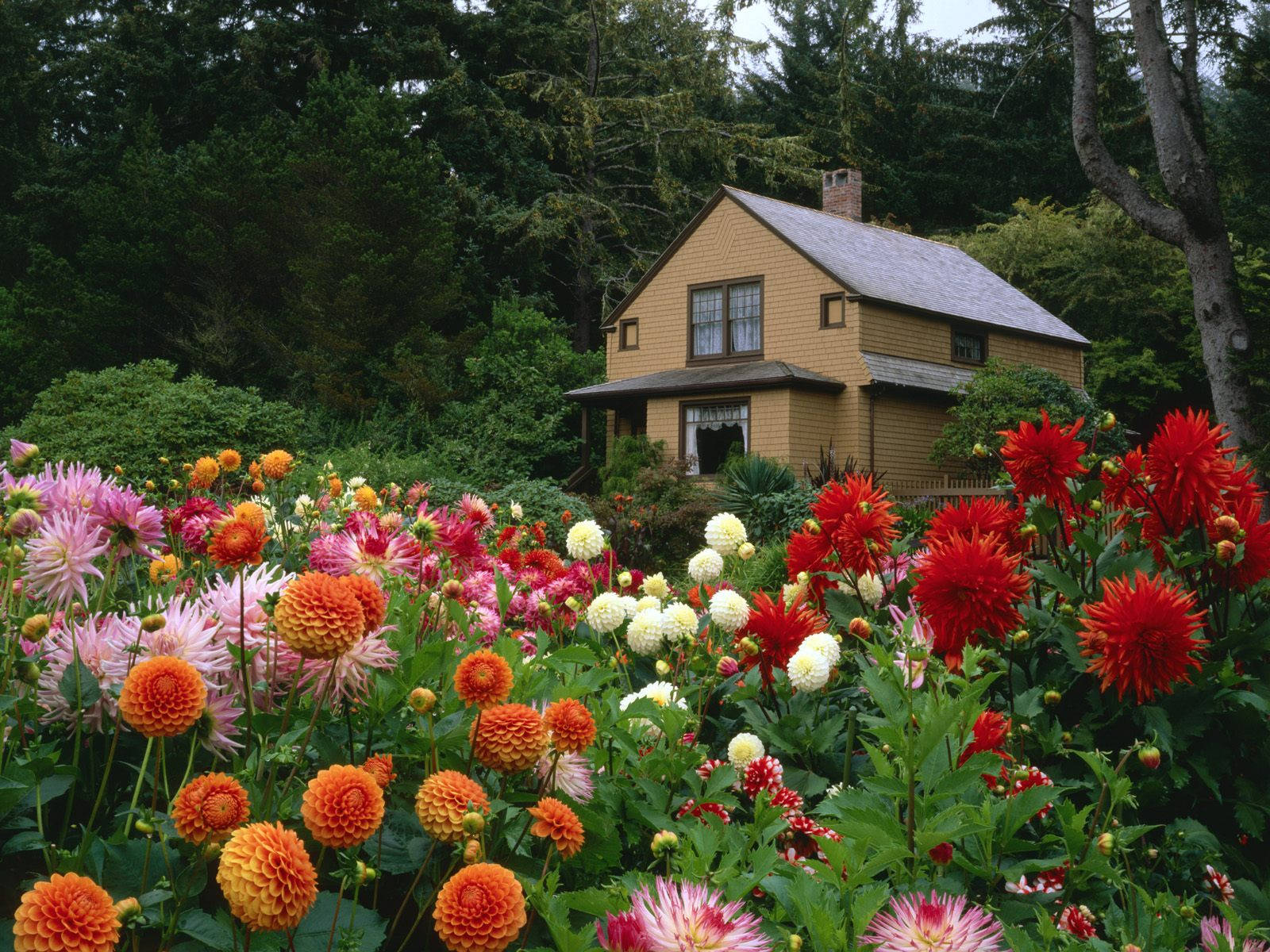 Beautiful Landscape House Floral Garden Wallpaper