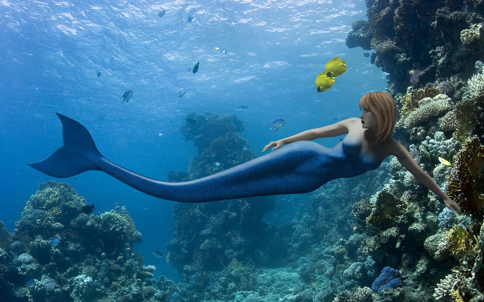 Einewunderschön Geschwänzte Meerjungfrau Schwimmt Im Meer. Wallpaper