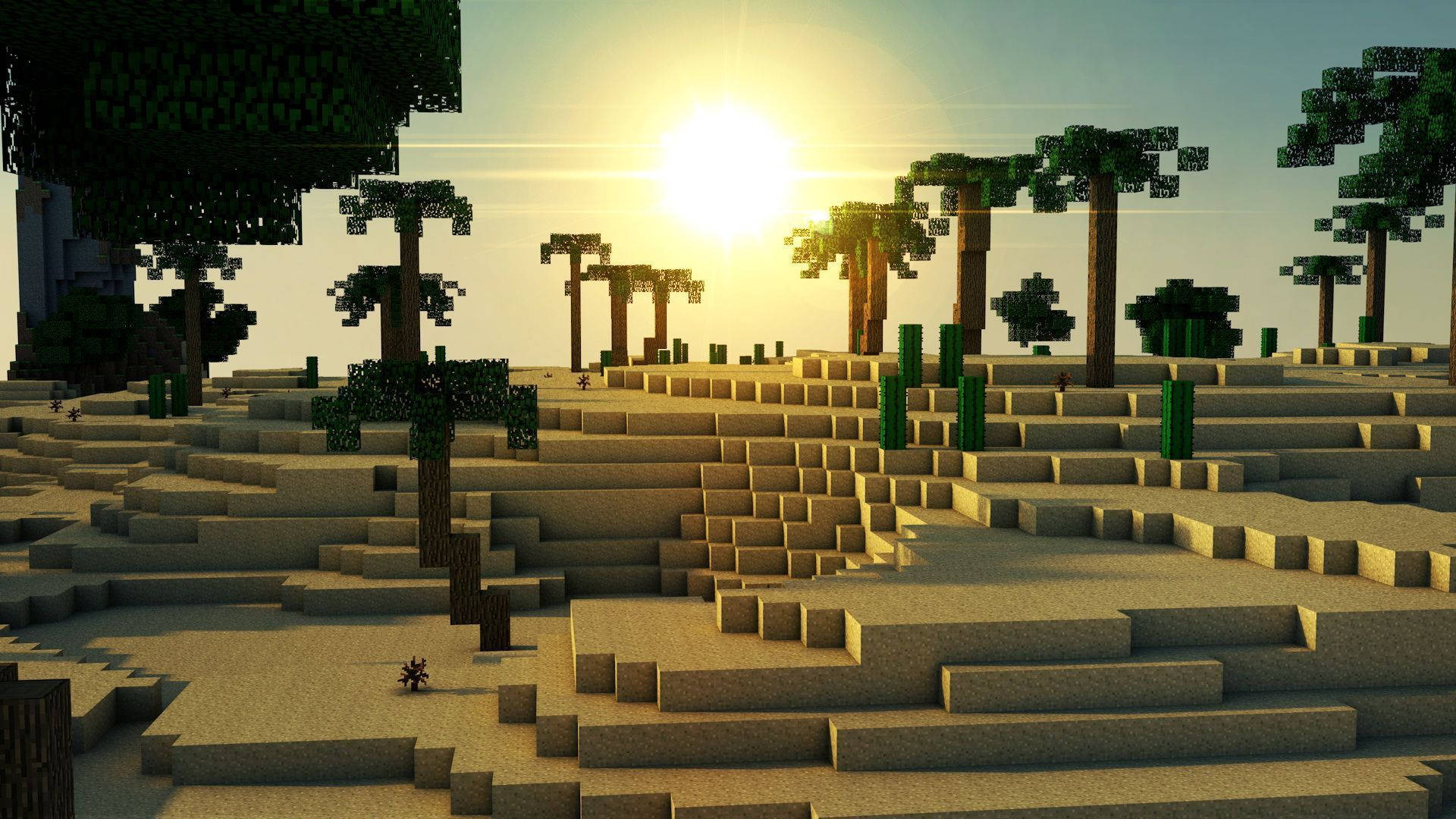 Beautiful Minecraft Desert Landscape Picture