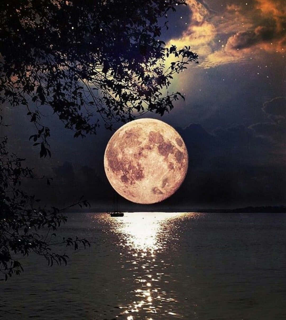 A beautiful moon illuminating a star-filled night sky
