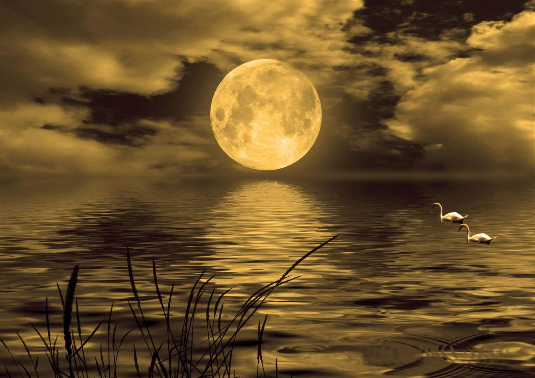Splendendonell'oscurità, La Luce Della Bellissima Luna Risplende Nel Cielo Notturno.