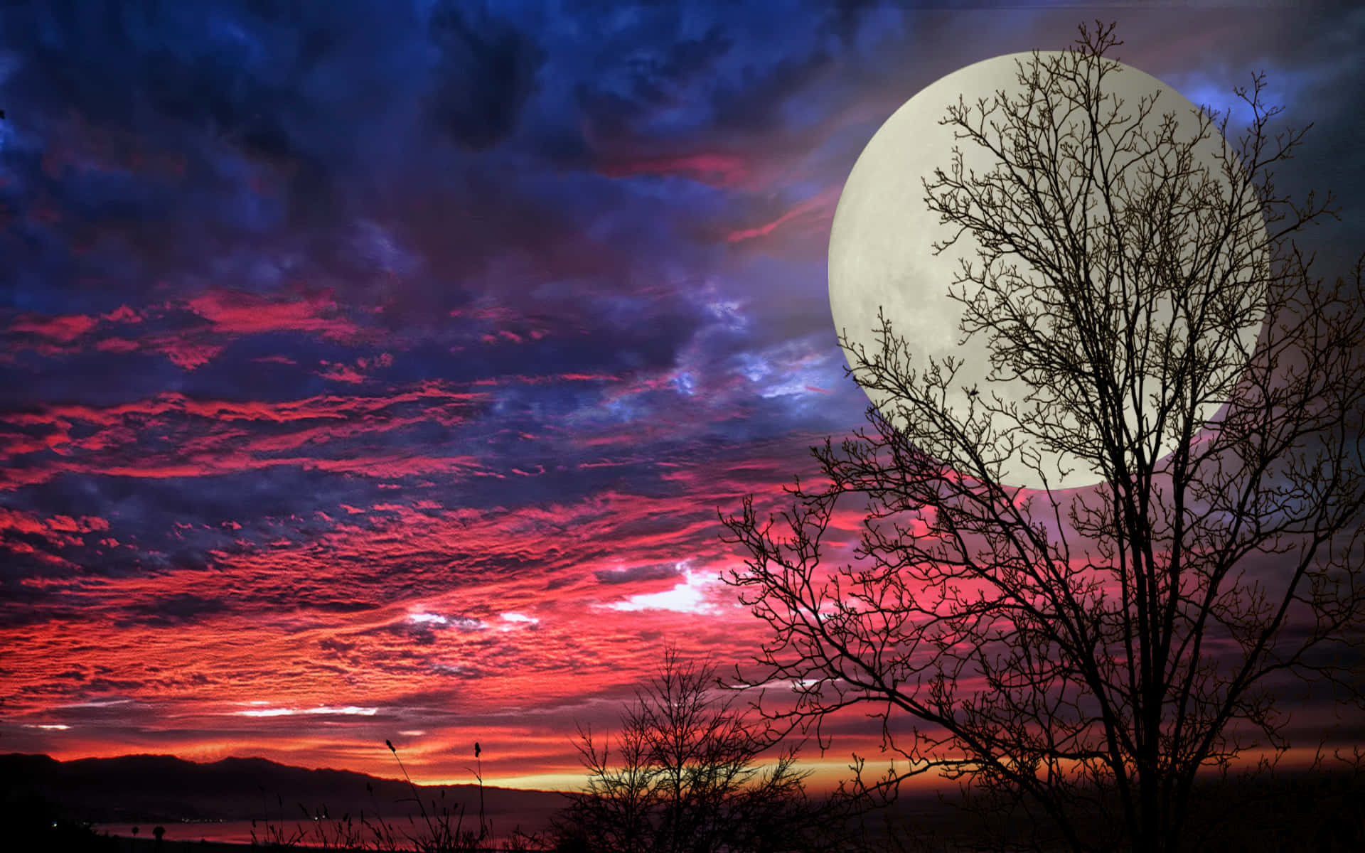 Unaserena Y Hermosa Luna Llena, Brillando Intensamente En El Cielo Nocturno.