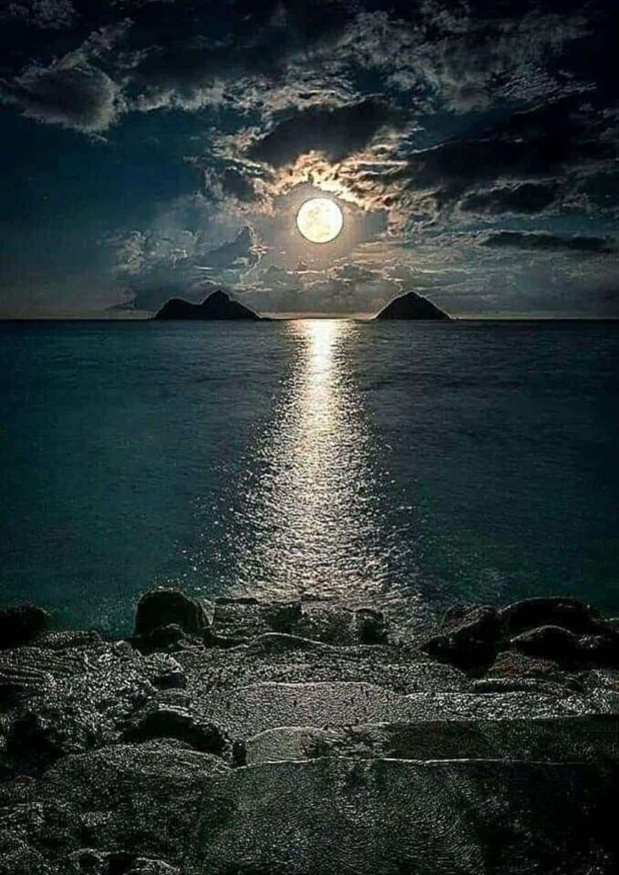 A majestic view of the beautiful moon illuminating the night sky.