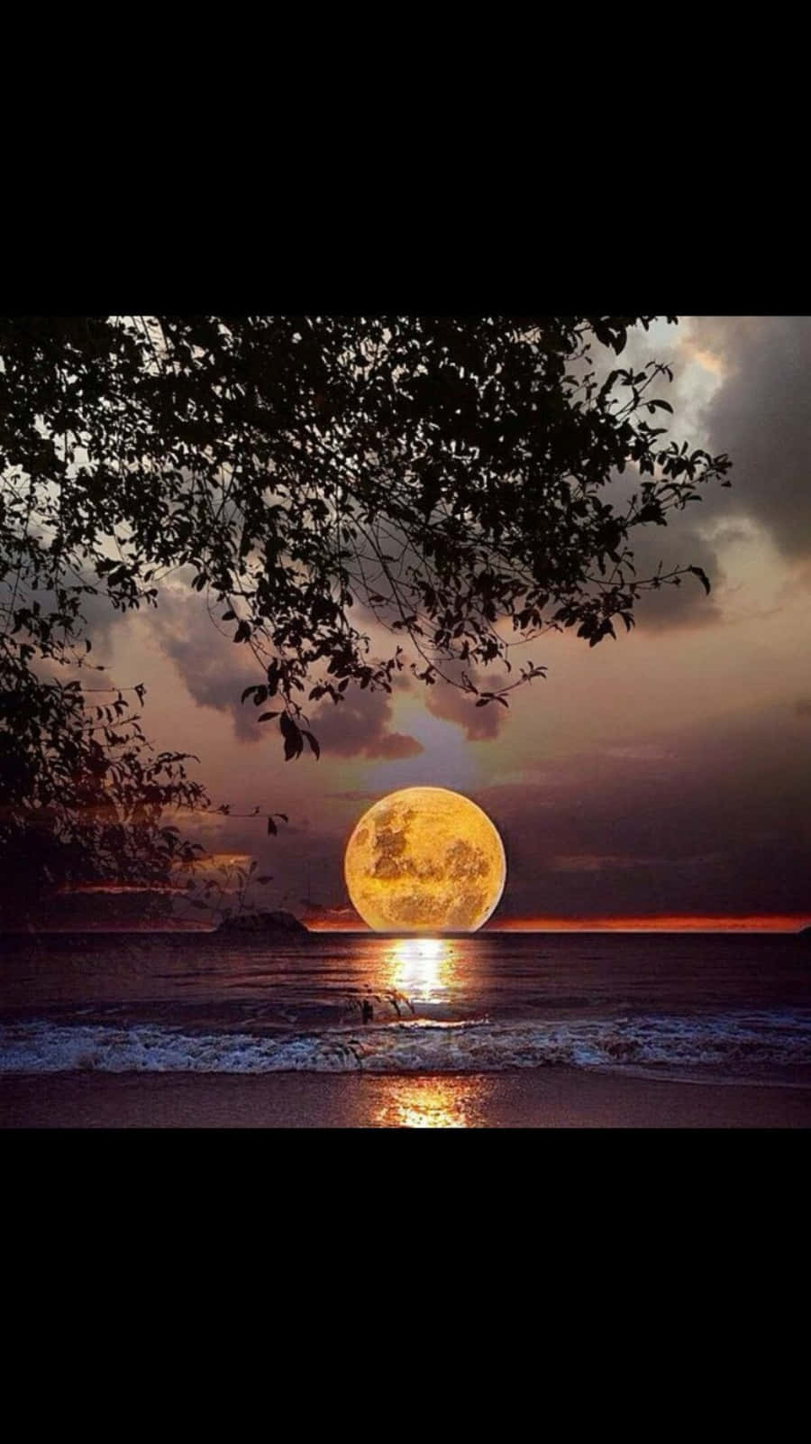 A Wonderful Sight - A Beautiful Moon Tonight