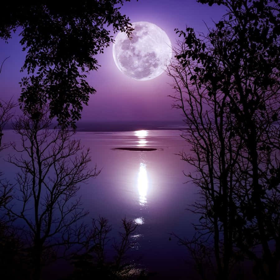 Ilcielo Notturno Illuminato Dalla Splendente Bellezza Della Luna