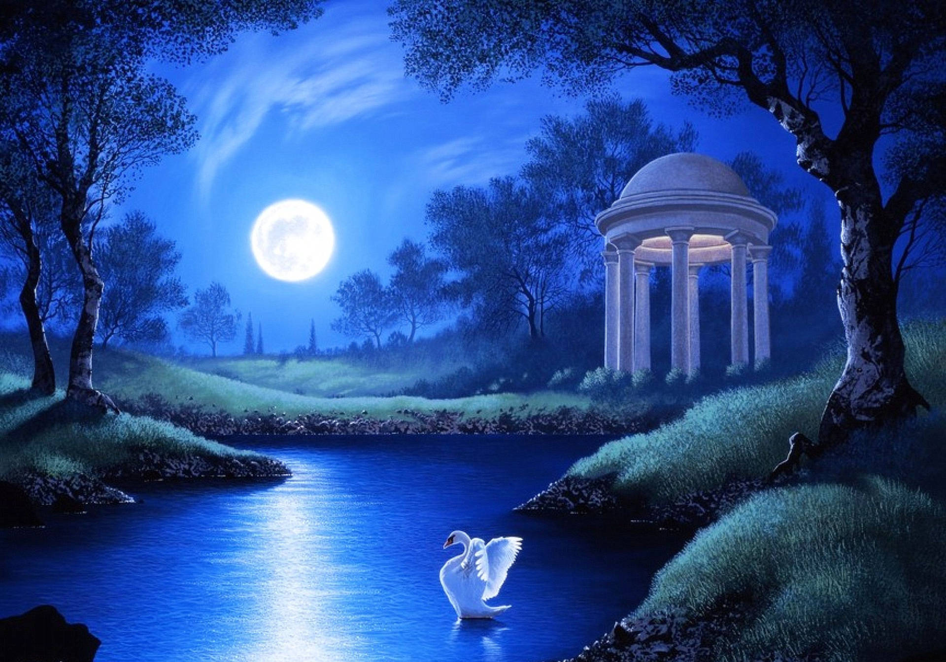 Beautiful Moon Over A Swan Lake Wallpaper