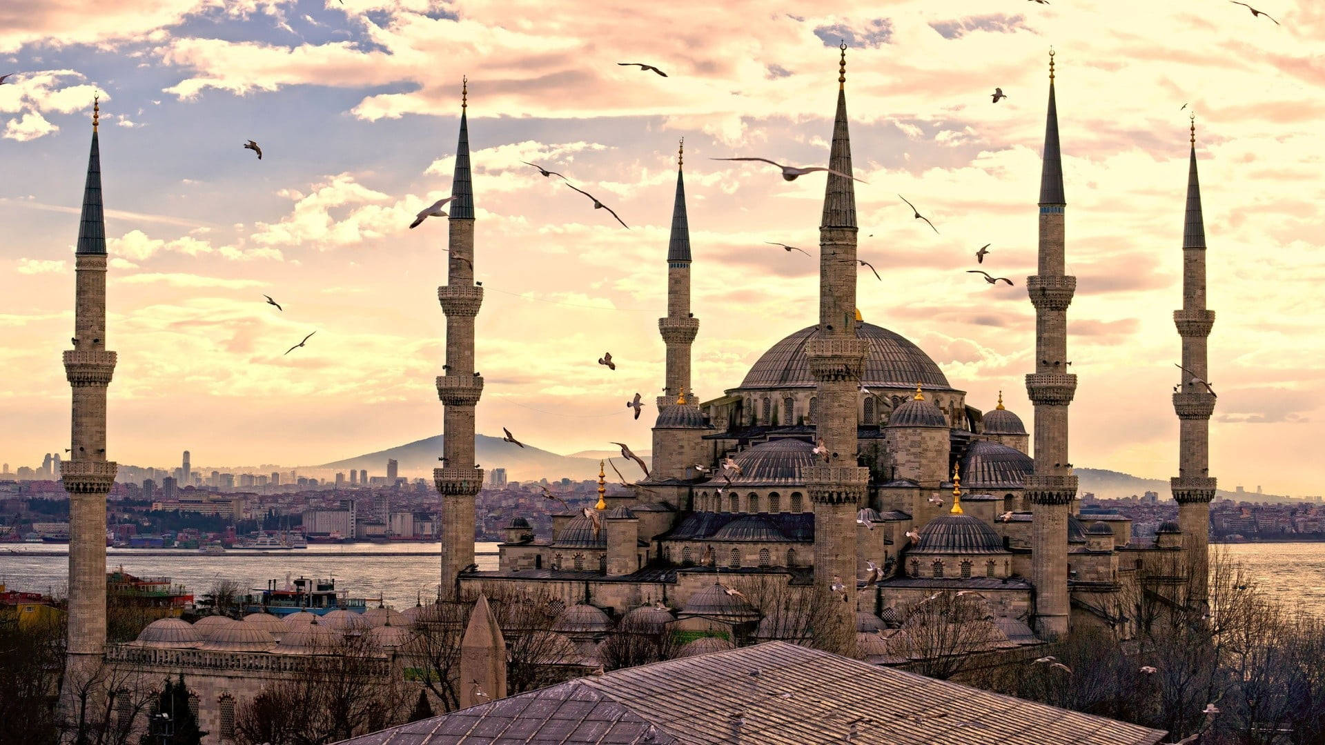 Beautiful Mosque Birds Background