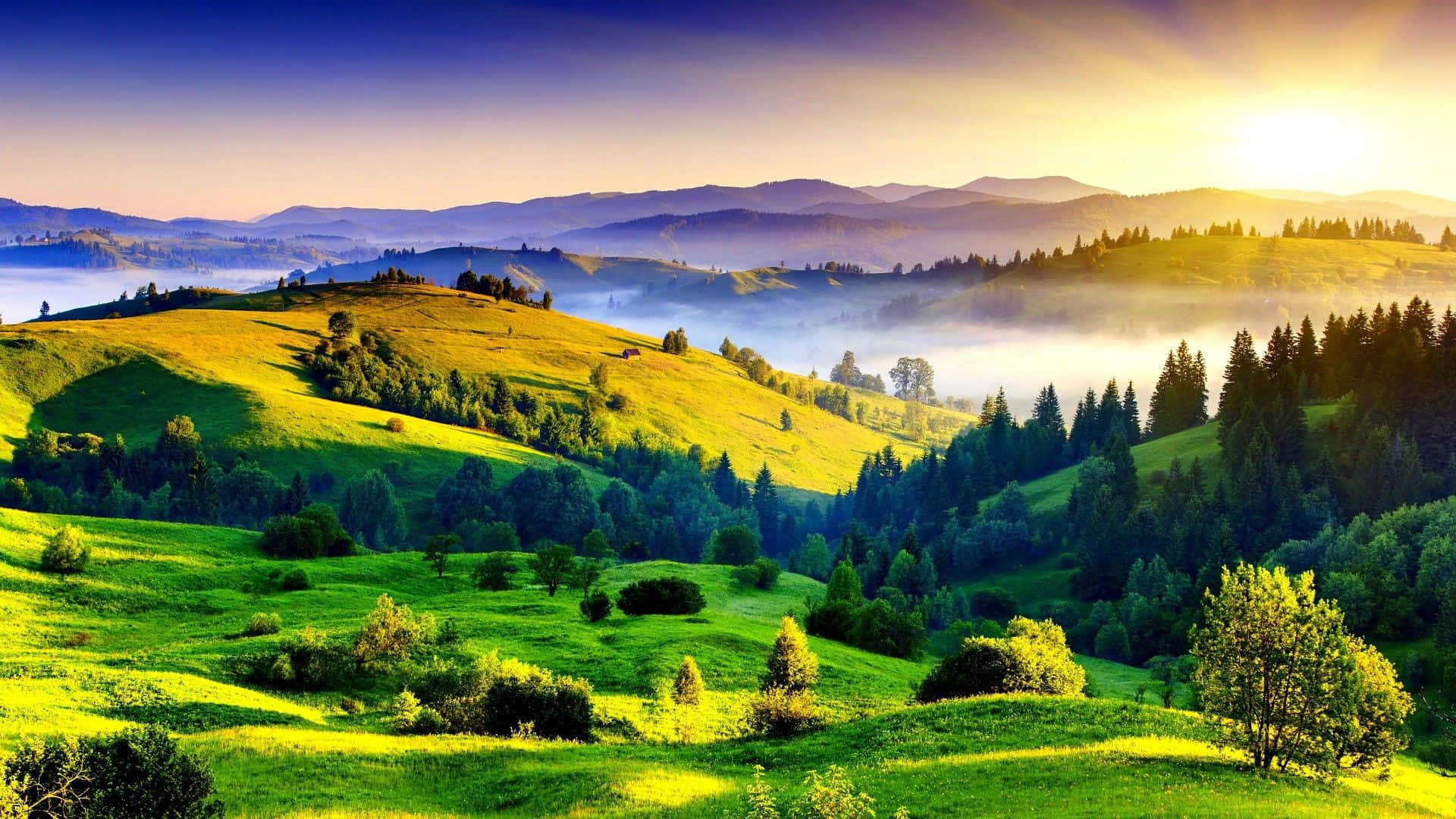 Beautiful Mountain Green Landscape Picture