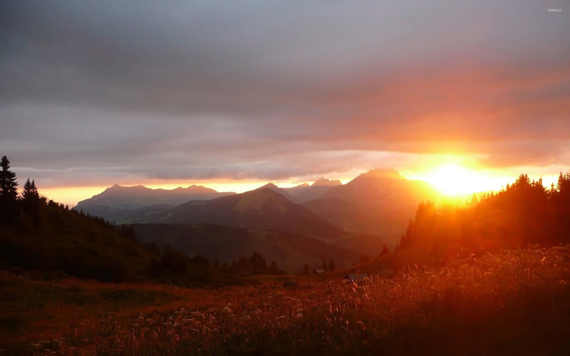 Schönesbild Von Einem Berg Mit Sonnenuntergangsansicht