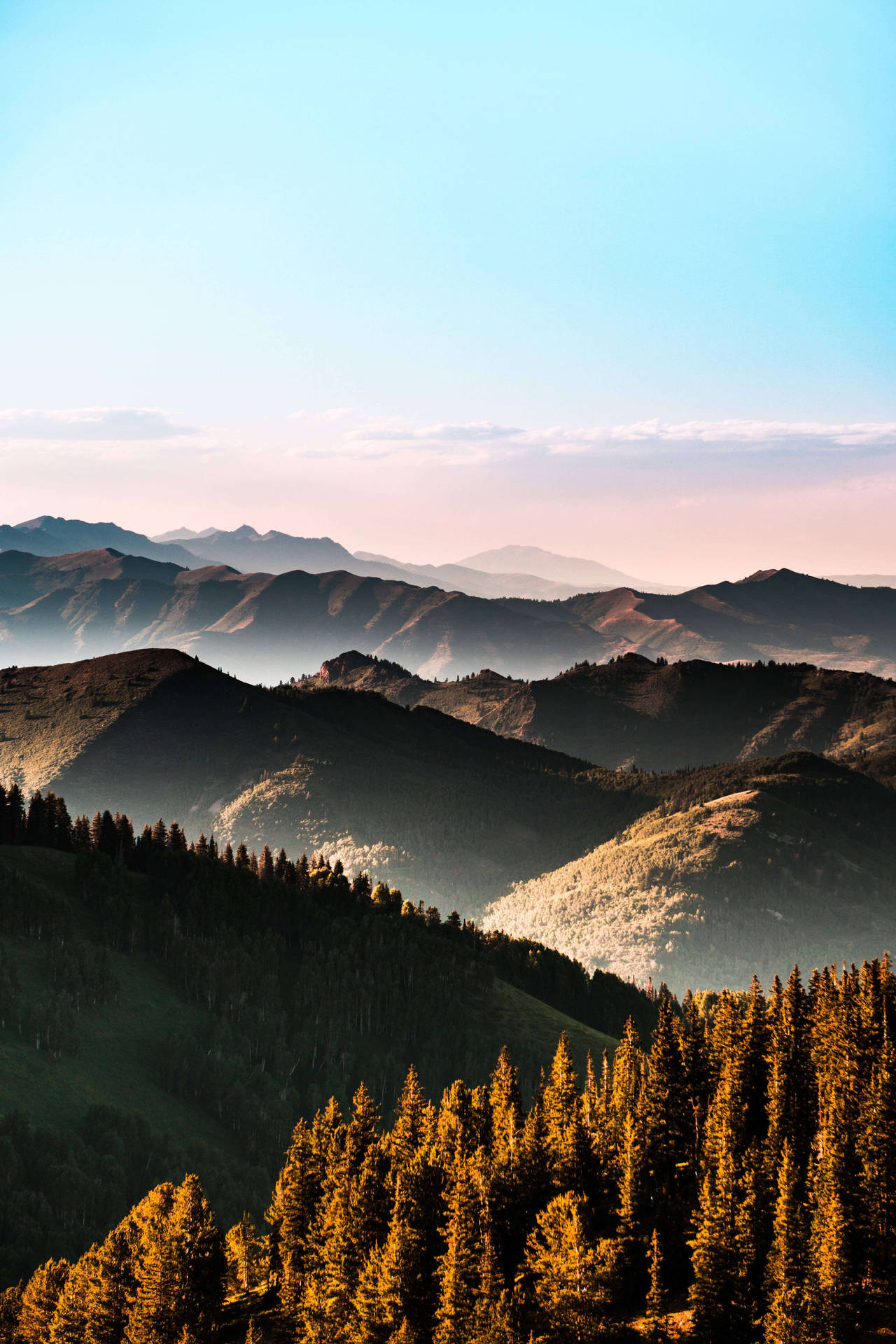 Hermosafotografía De Naturaleza: Montañas Boscosas. Fondo de pantalla