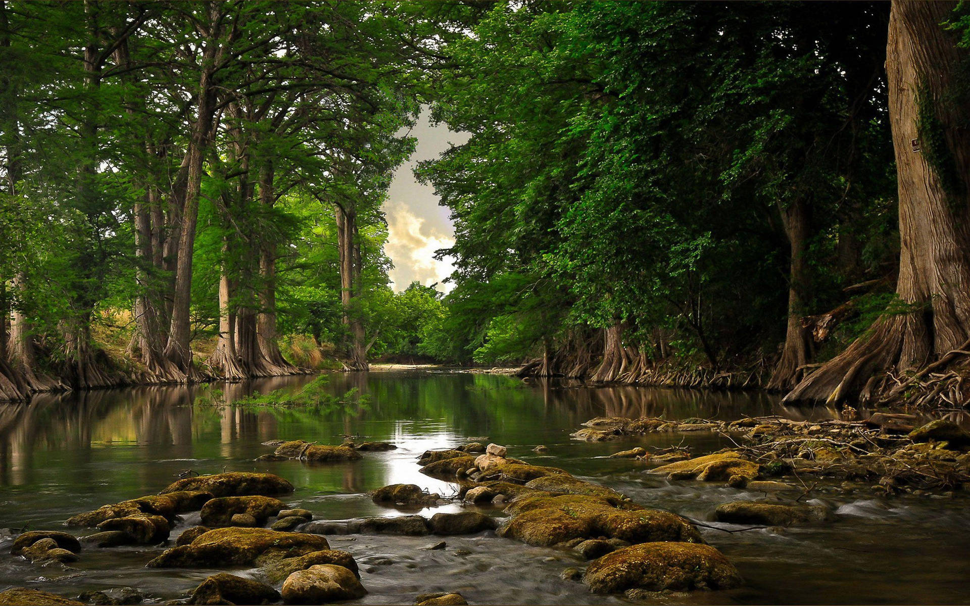 Hermosasfotografías De La Naturaleza Del Río Rocoso Fondo de pantalla