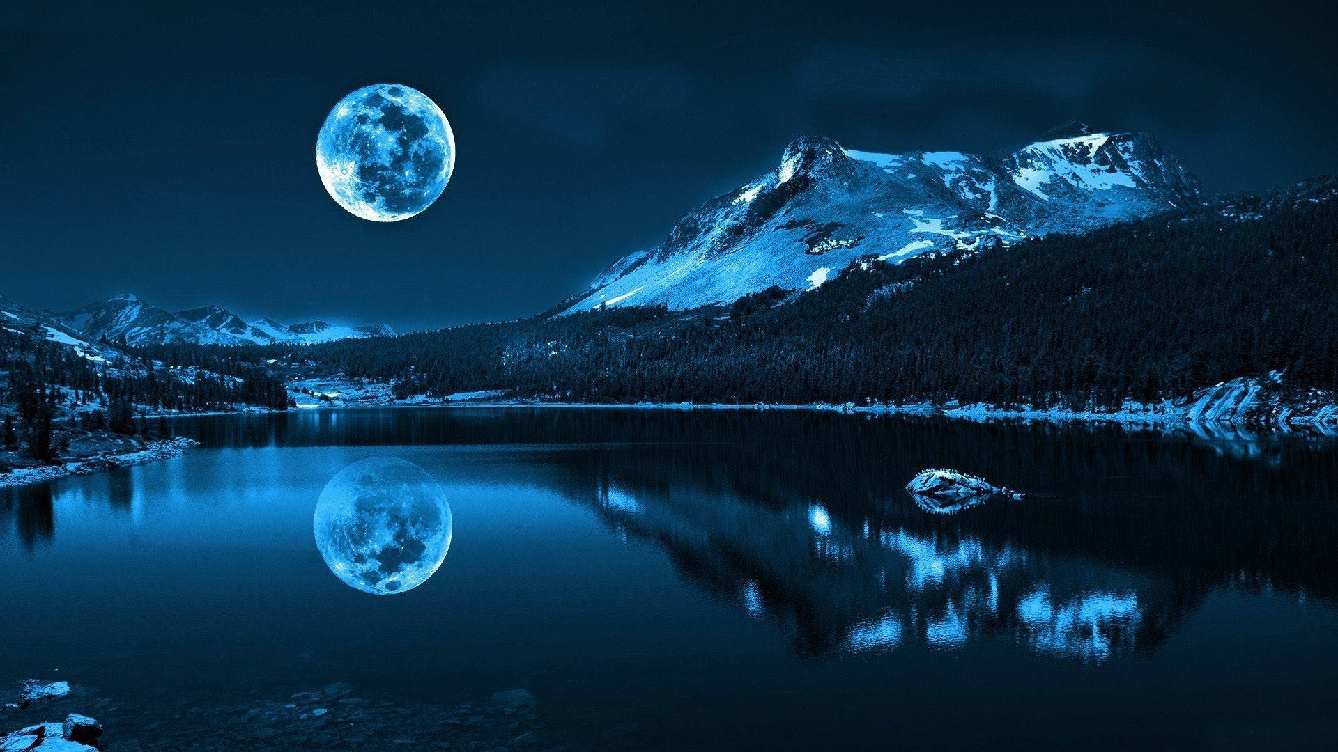 Beautiful Night Under The Moonlight