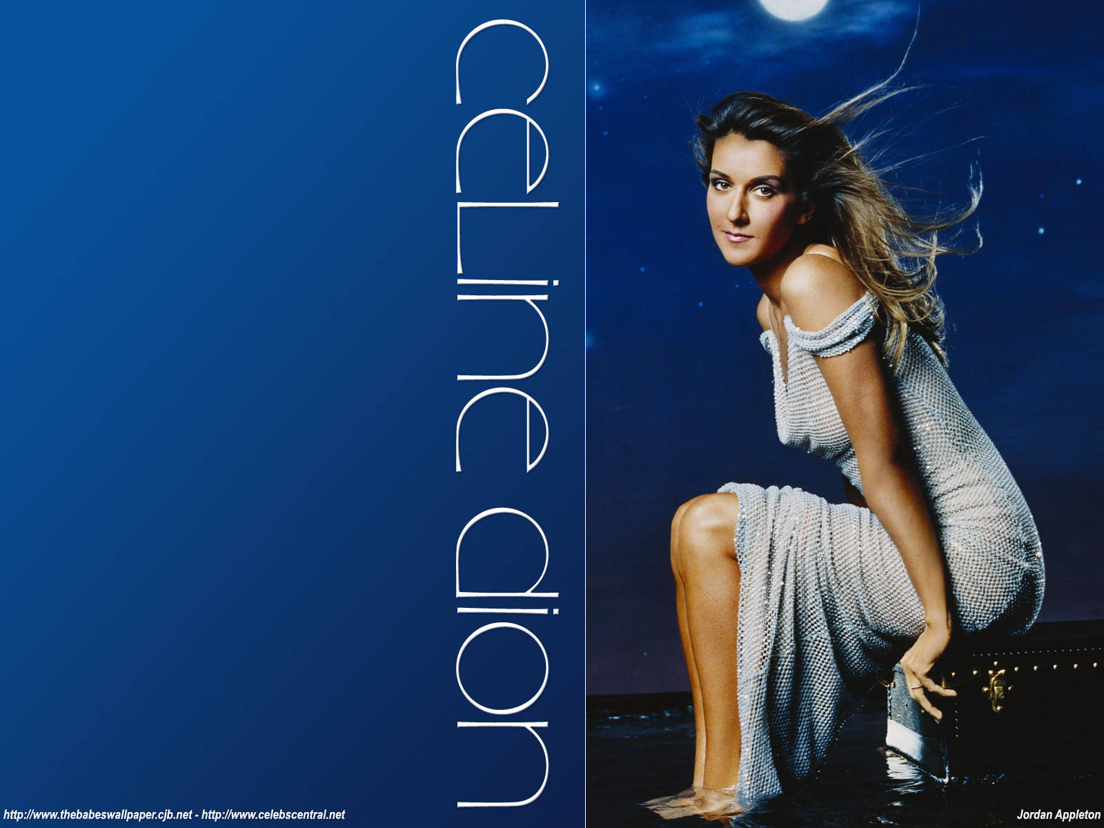 Beautiful Night With Celine Dion Background
