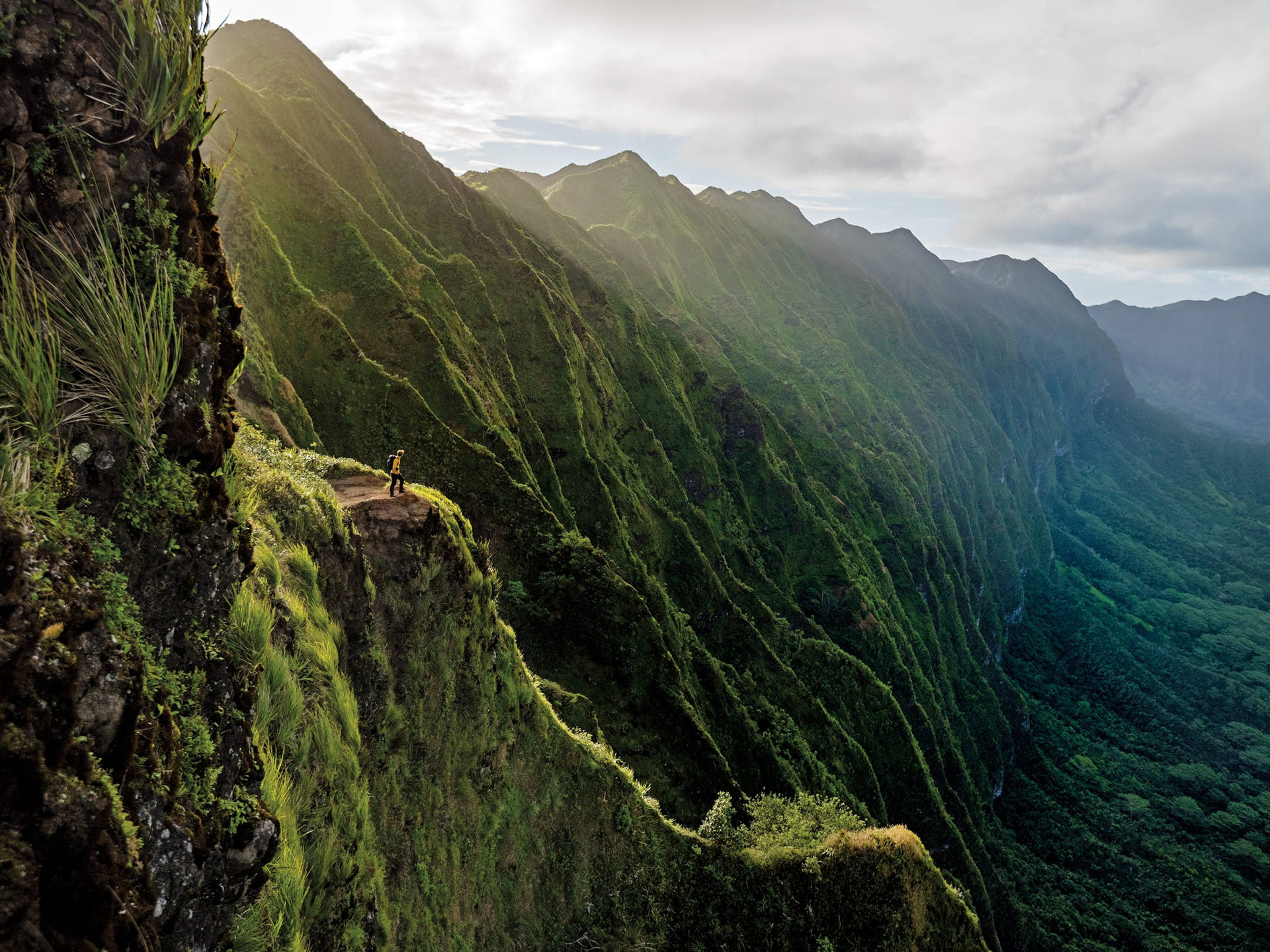 Smukke Oahu bjerglandskaber pynte denne tapet. Wallpaper
