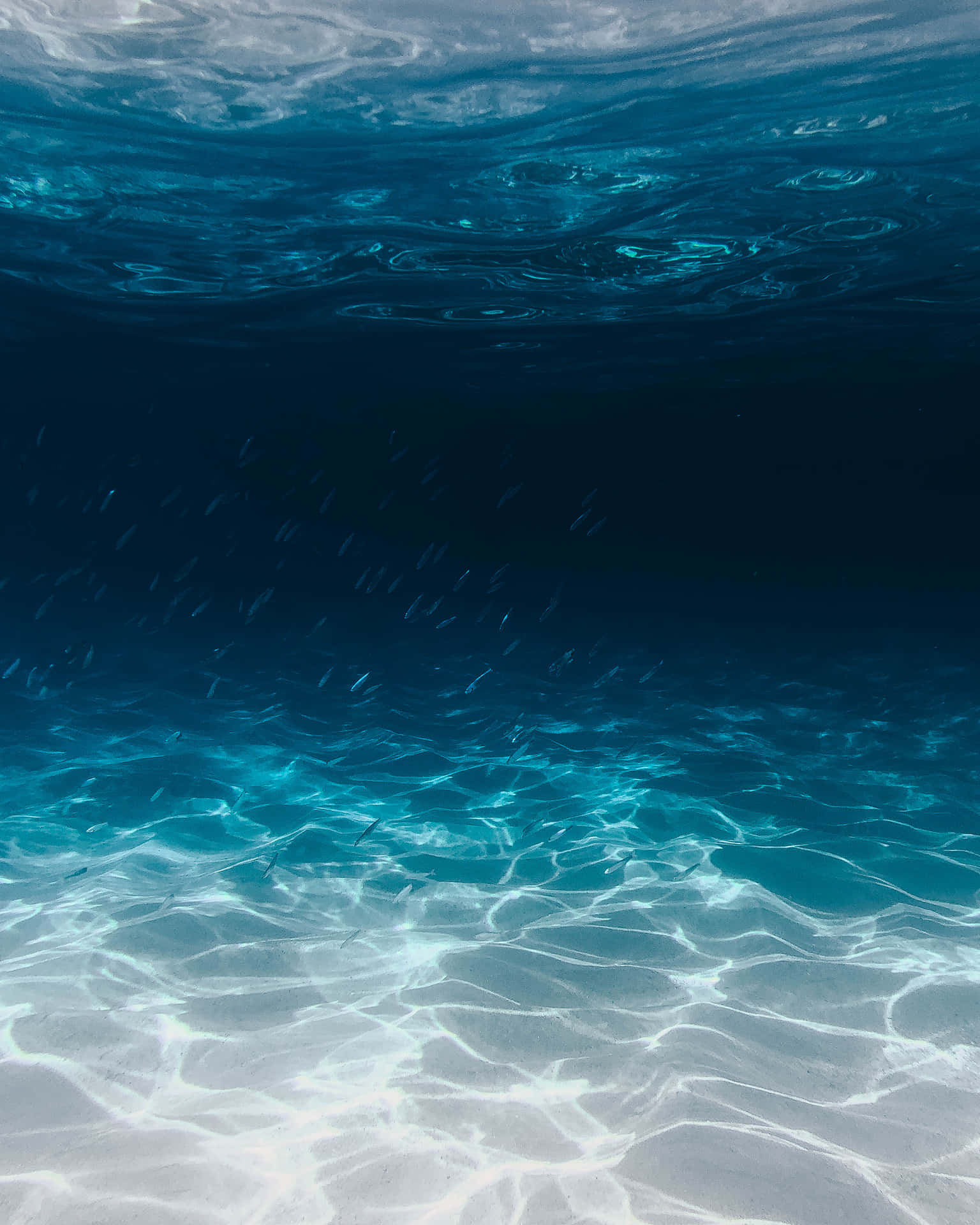 Fondosubmarino Oceánico Con Agua Azul Y Peces