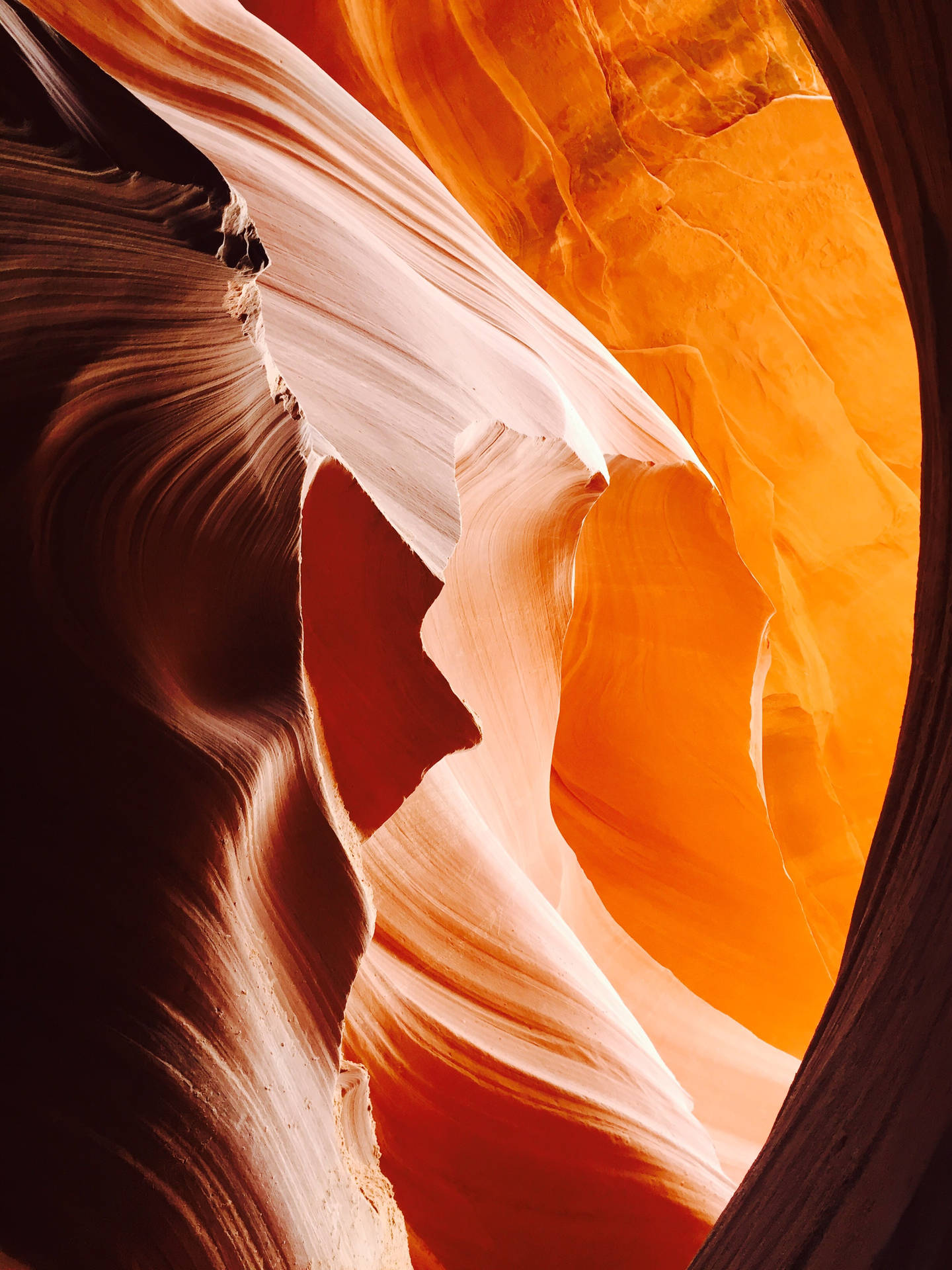 Beautiful Orange Antelope Canyon Background
