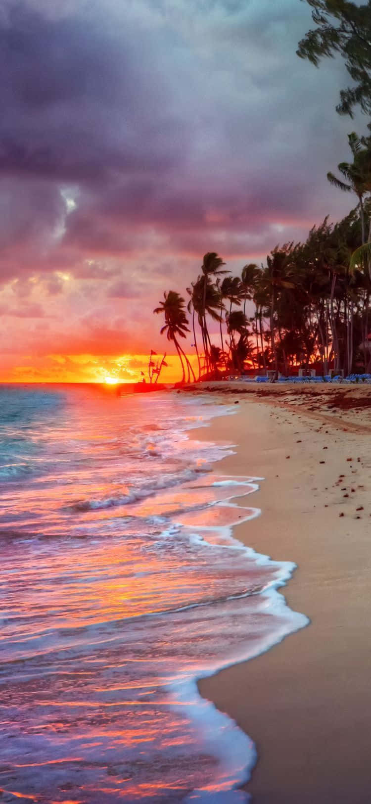Smukt Strand under Solnedgang Billede