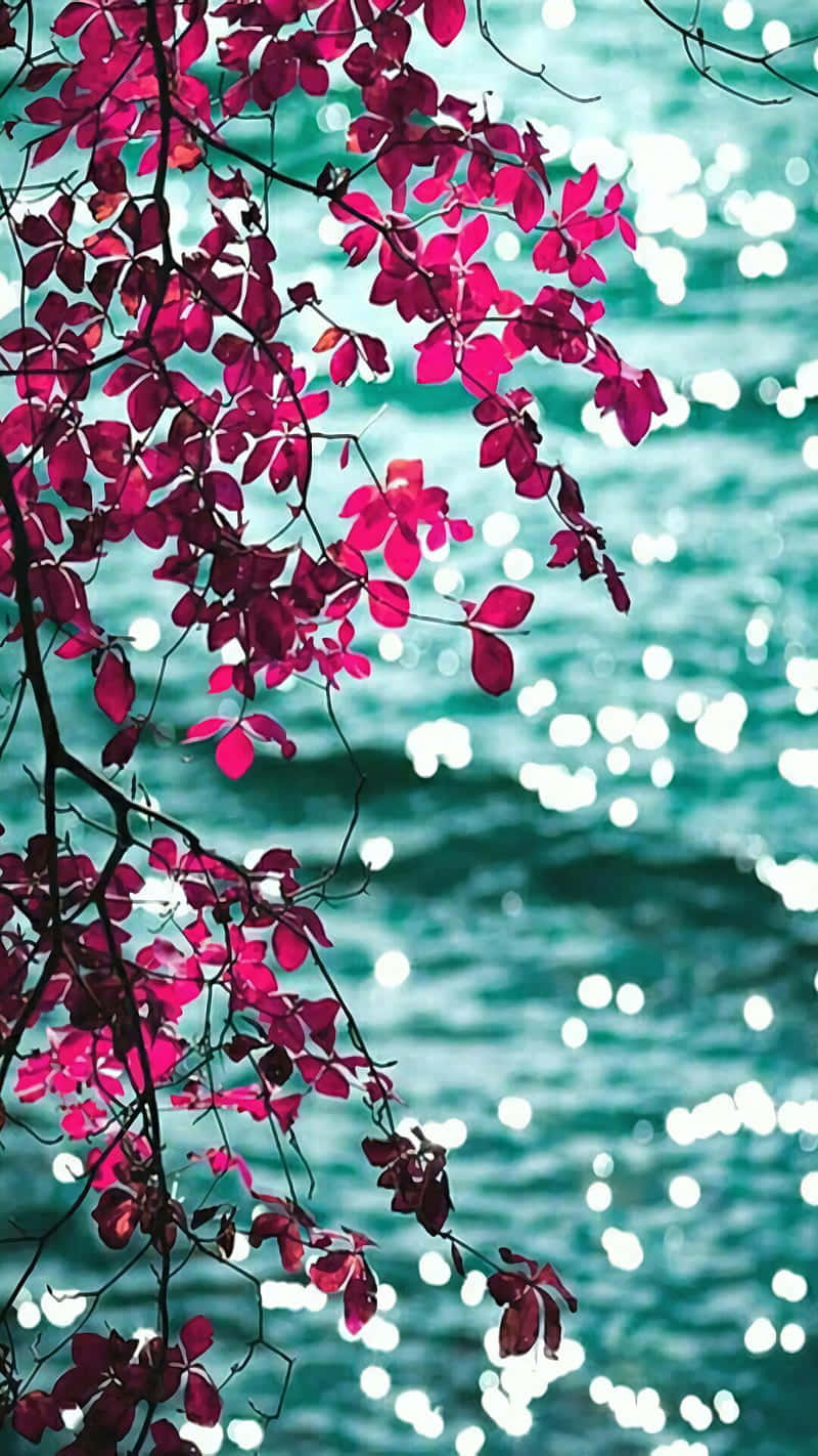Beautiful Pink Leaves Picture