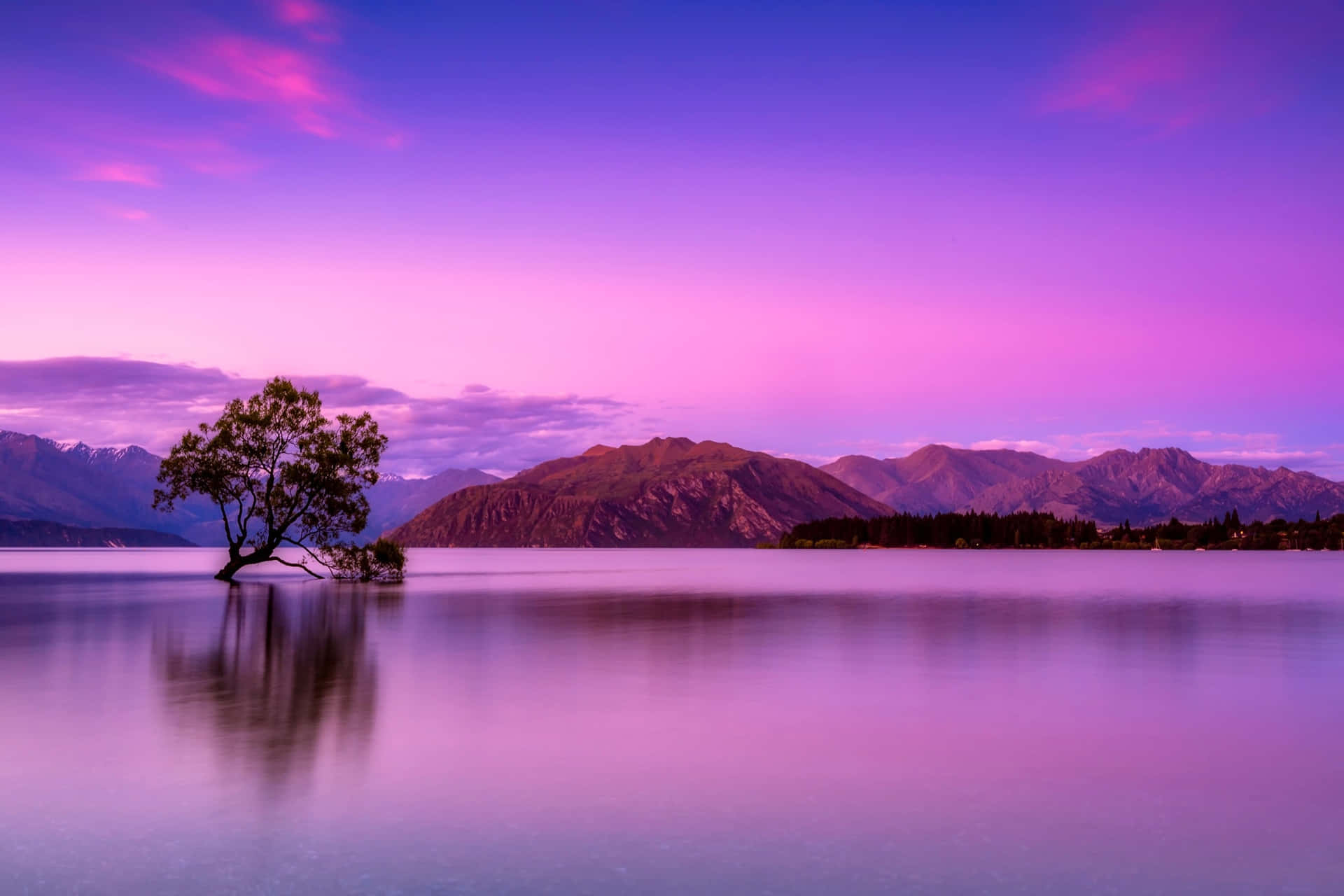 Beautiful Purple Sunset Picture