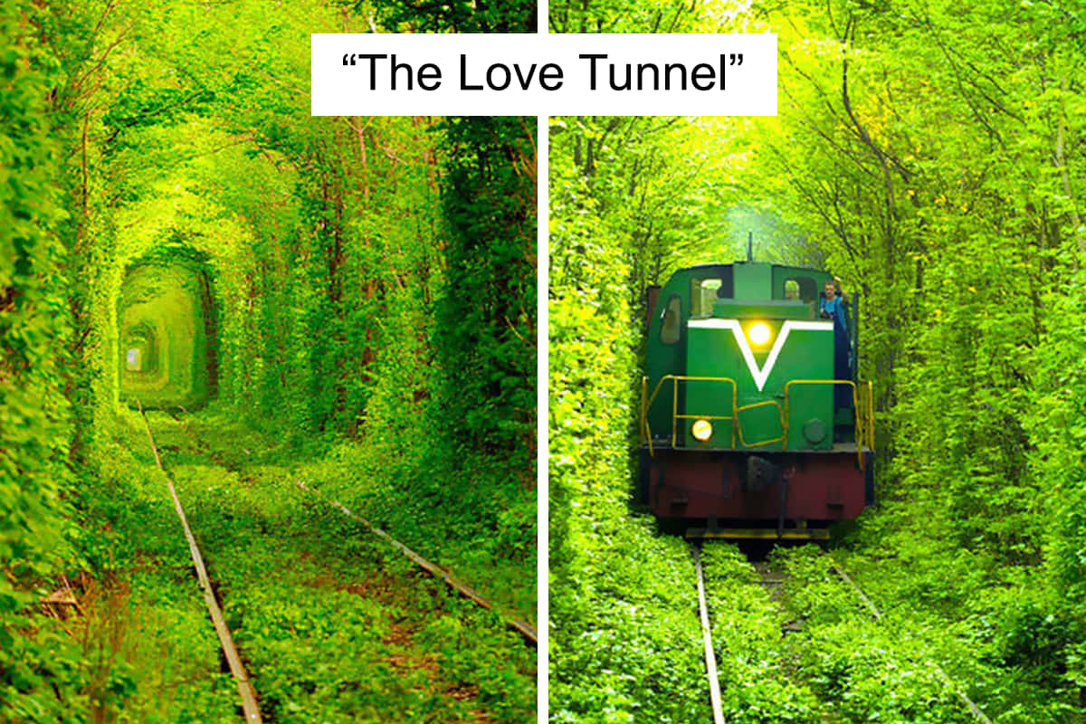 Beautiful Love Tunnel Picture