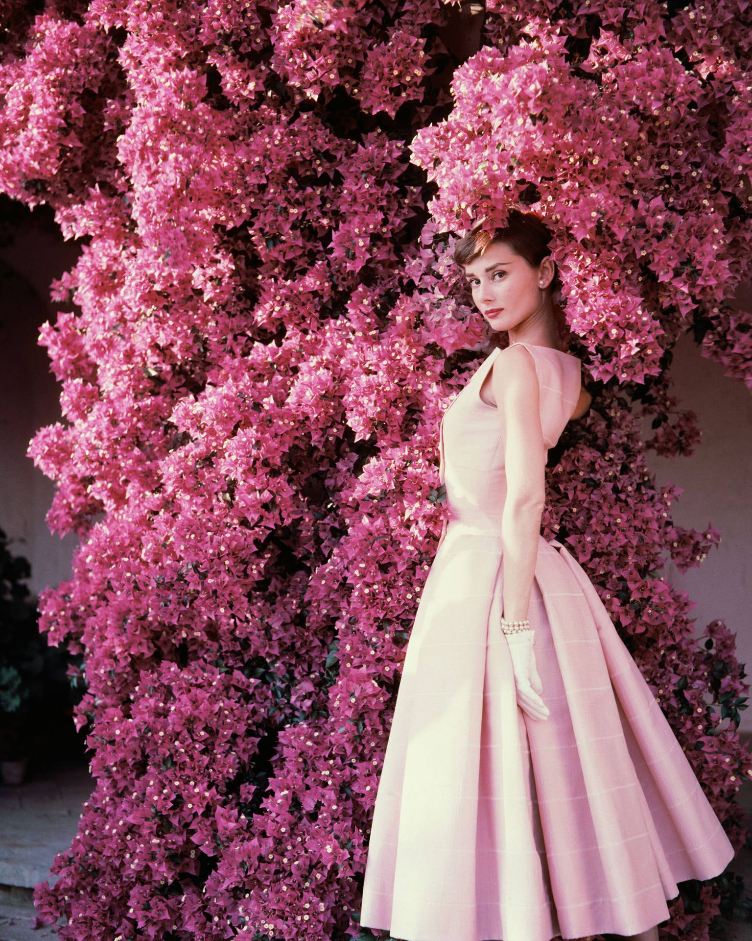 Beautiful Pink Audrey Hepburn Wallpaper