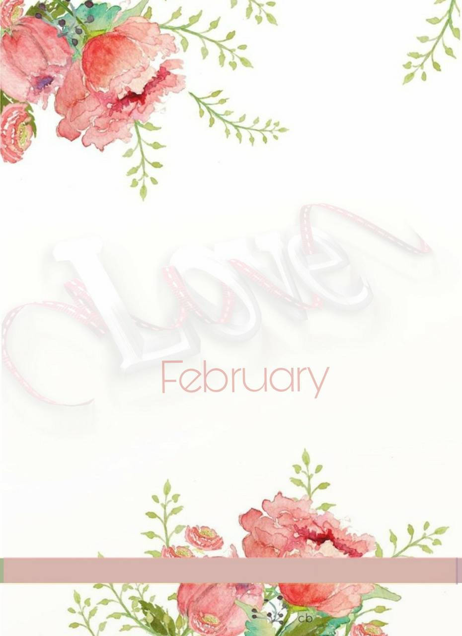 Beautiful pink flowers in bloom for February Wallpaper