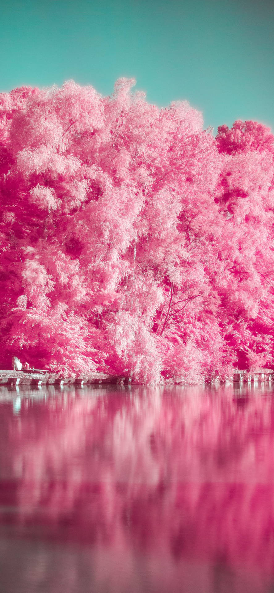 Beautiful Pink Phone Laying Flat On A White Surface Wallpaper