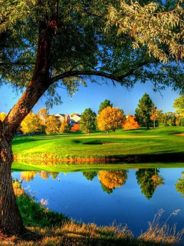 A Golf Course With Trees And A Pond