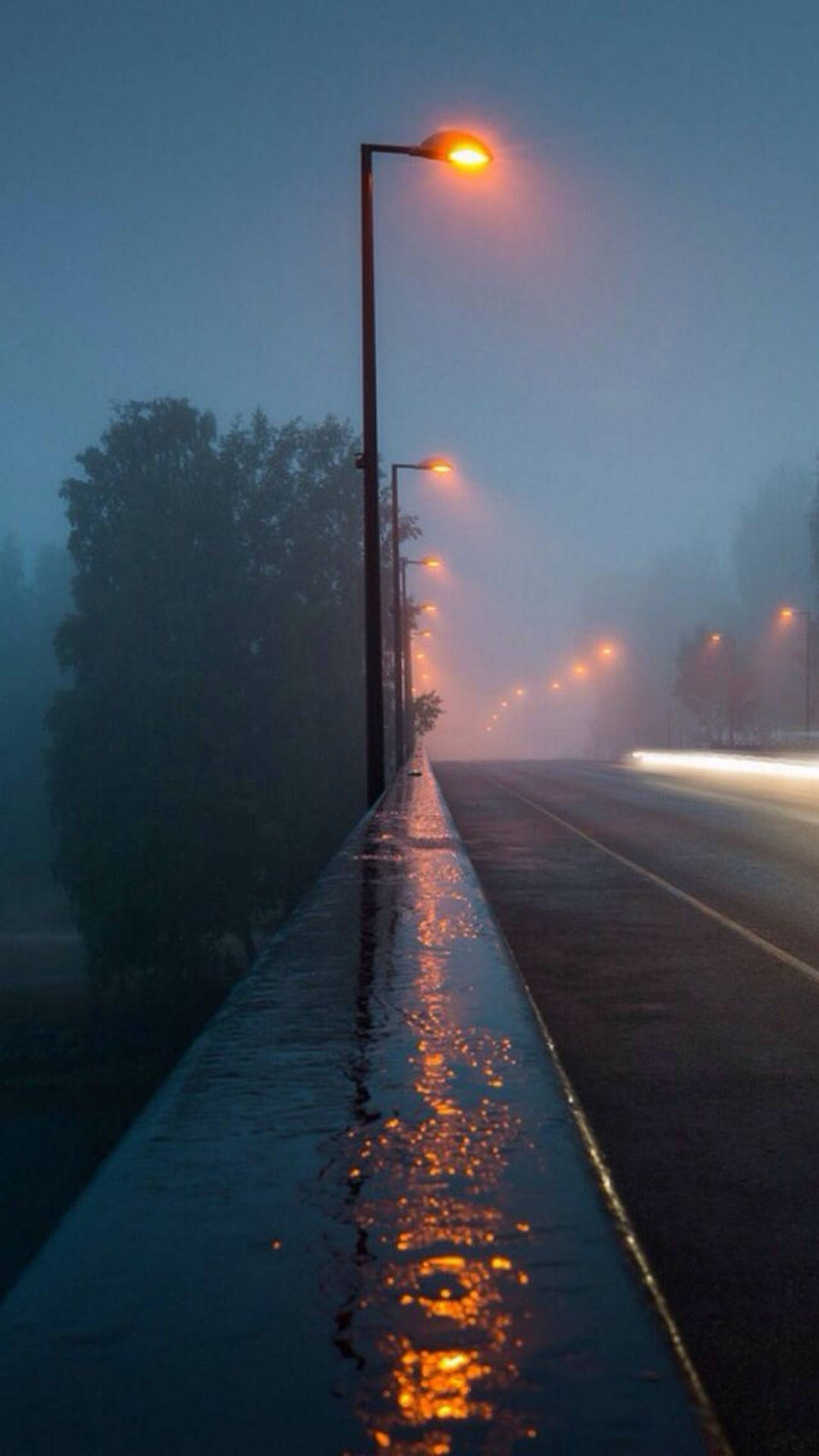 Hermosalluvia En Una Carretera Neblinosa Fondo de pantalla