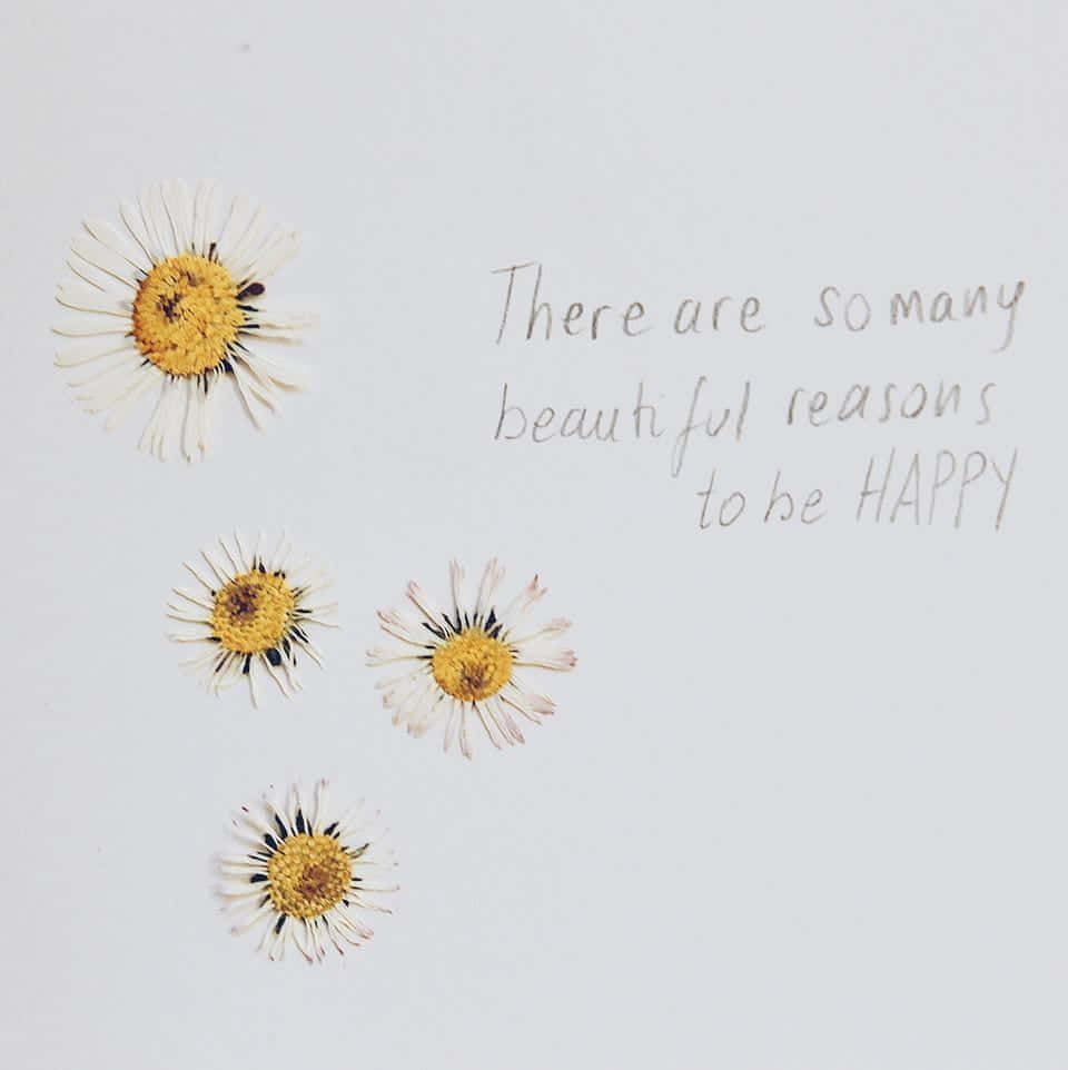 Beautiful Reasons Happiness Quote Daisies Wallpaper