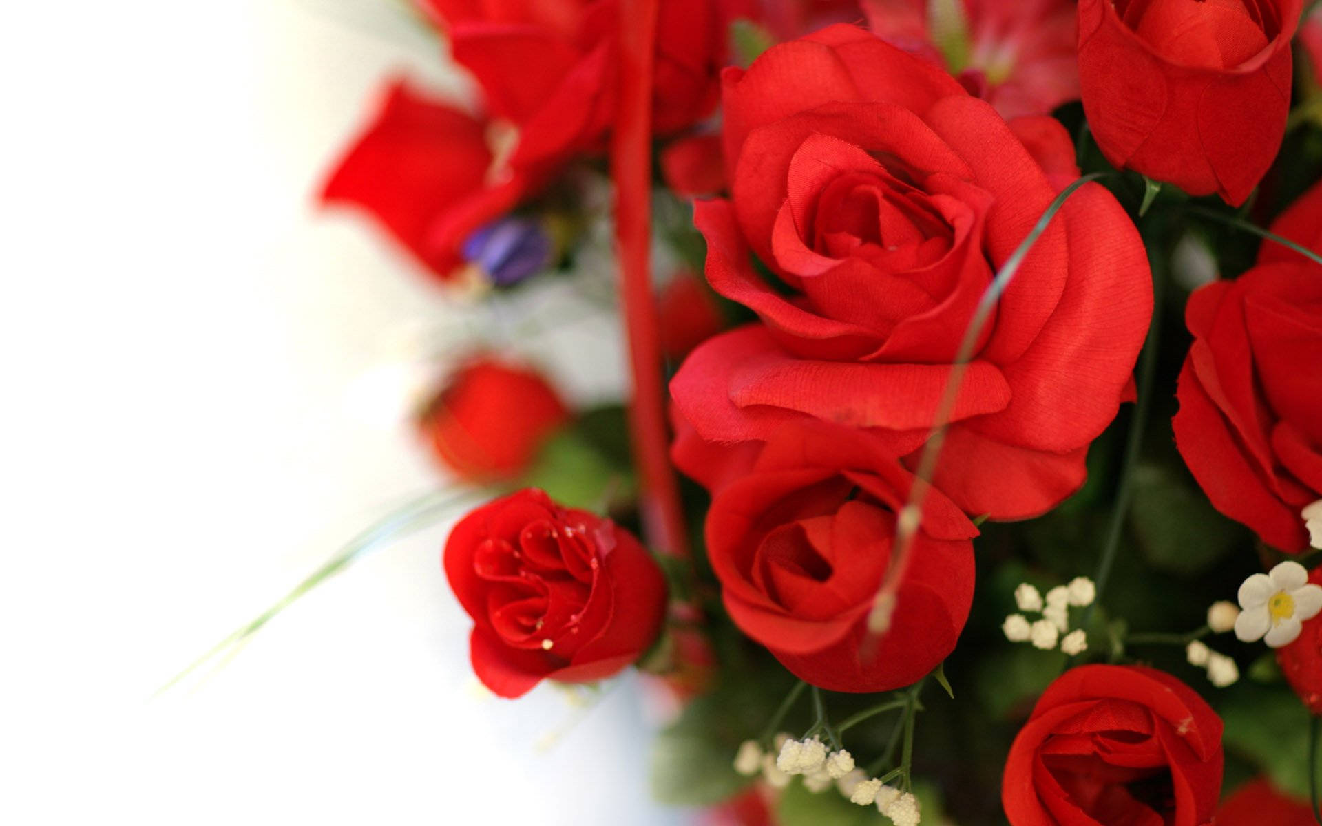 Beautiful Rose Flower Arrangement For Valentines Wallpaper