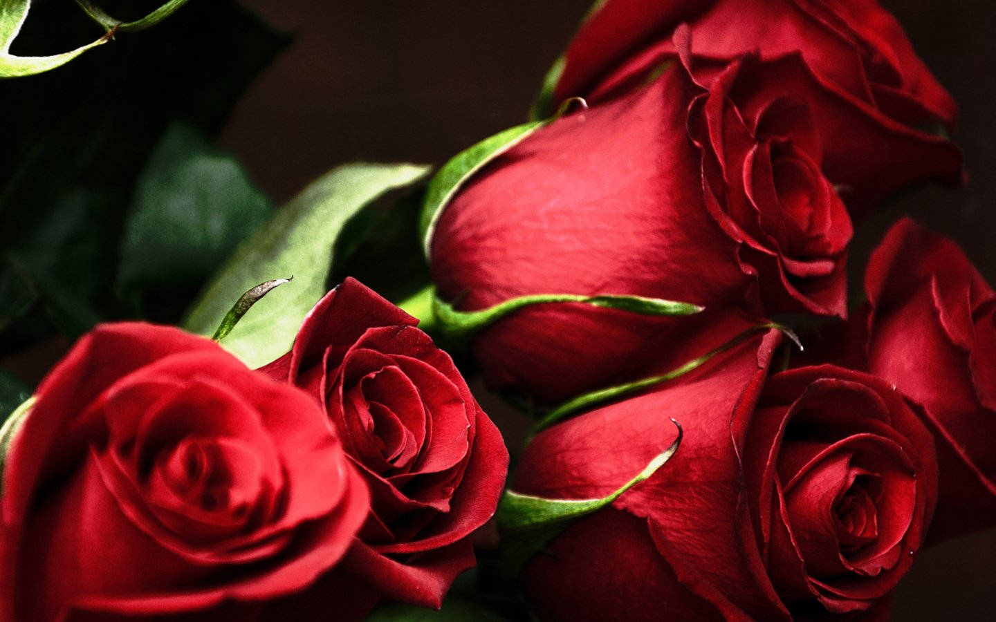 Floresde Rosas Hermosas En Color Rojo Estético. Fondo de pantalla