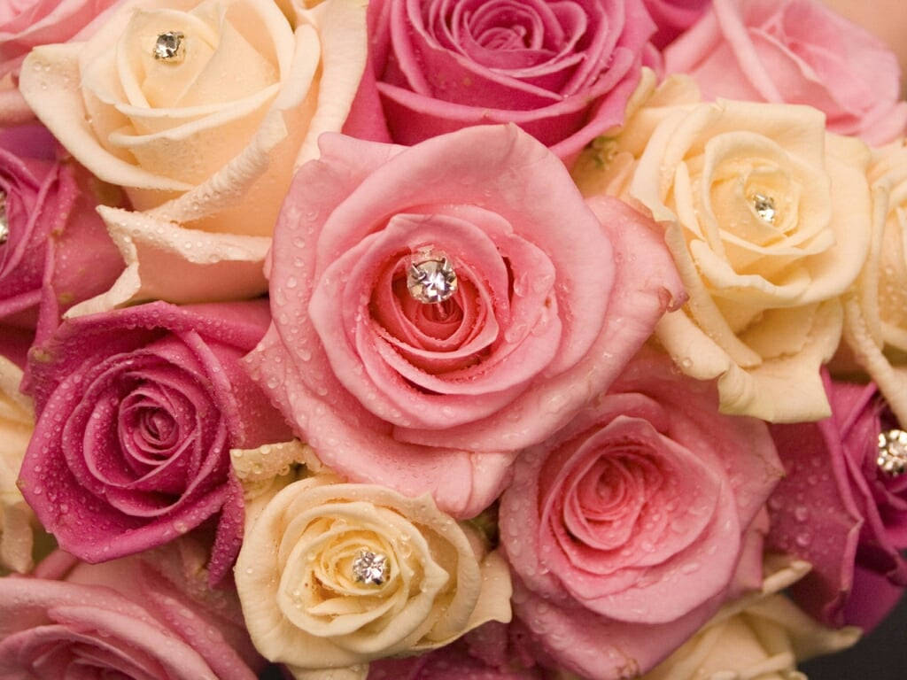 Beautiful Rose Flowers With Engagement Ring Wallpaper