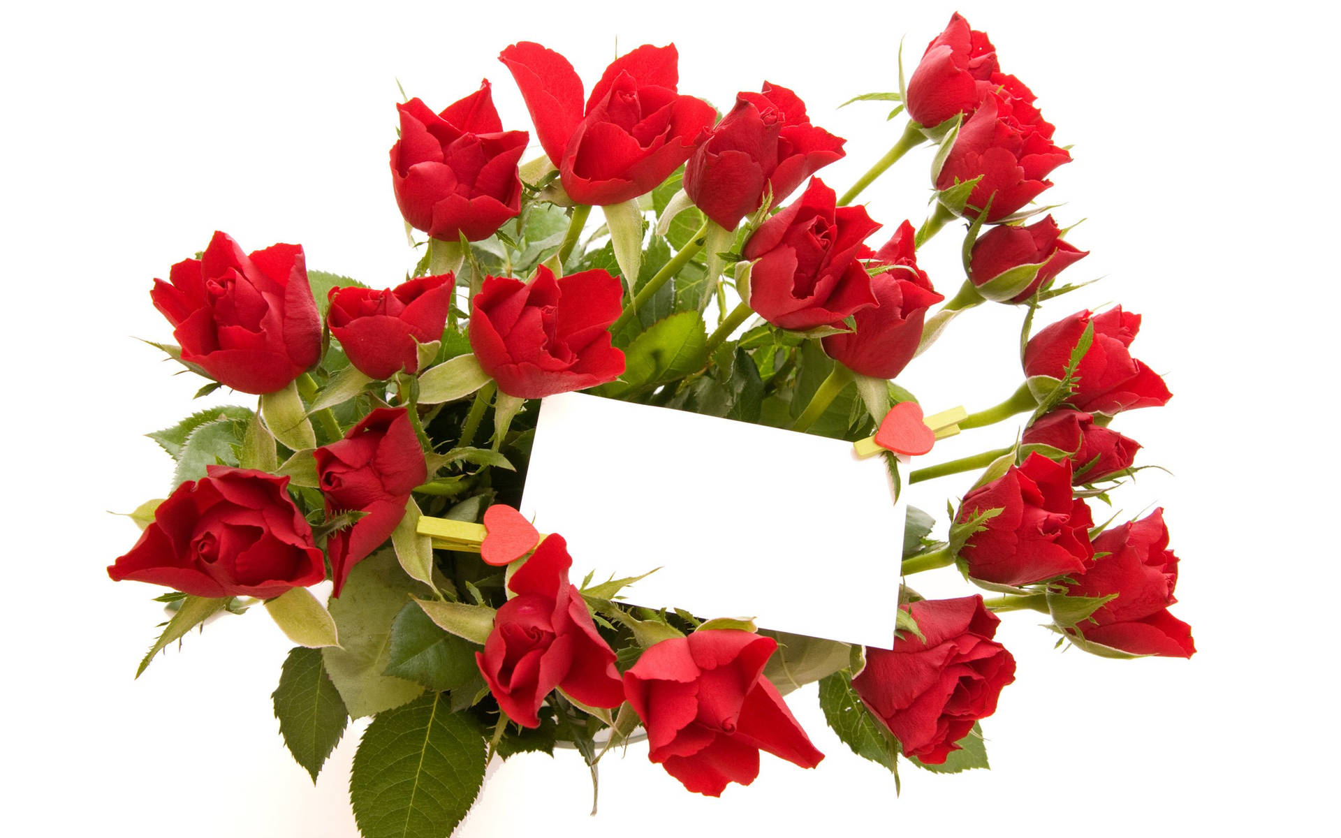 Beautiful Rose Flowers With Greeting Card Wallpaper
