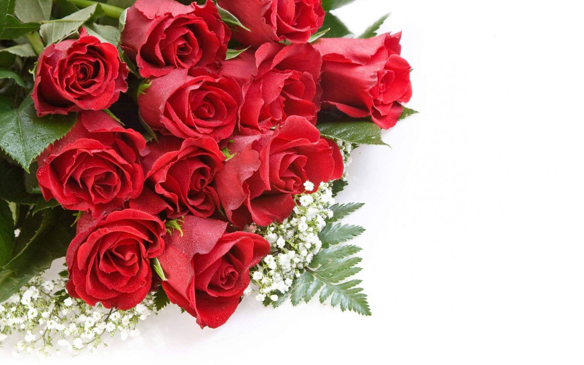 Hermosoramo De Rosas Con Flores En Alta Definición. Fondo de pantalla