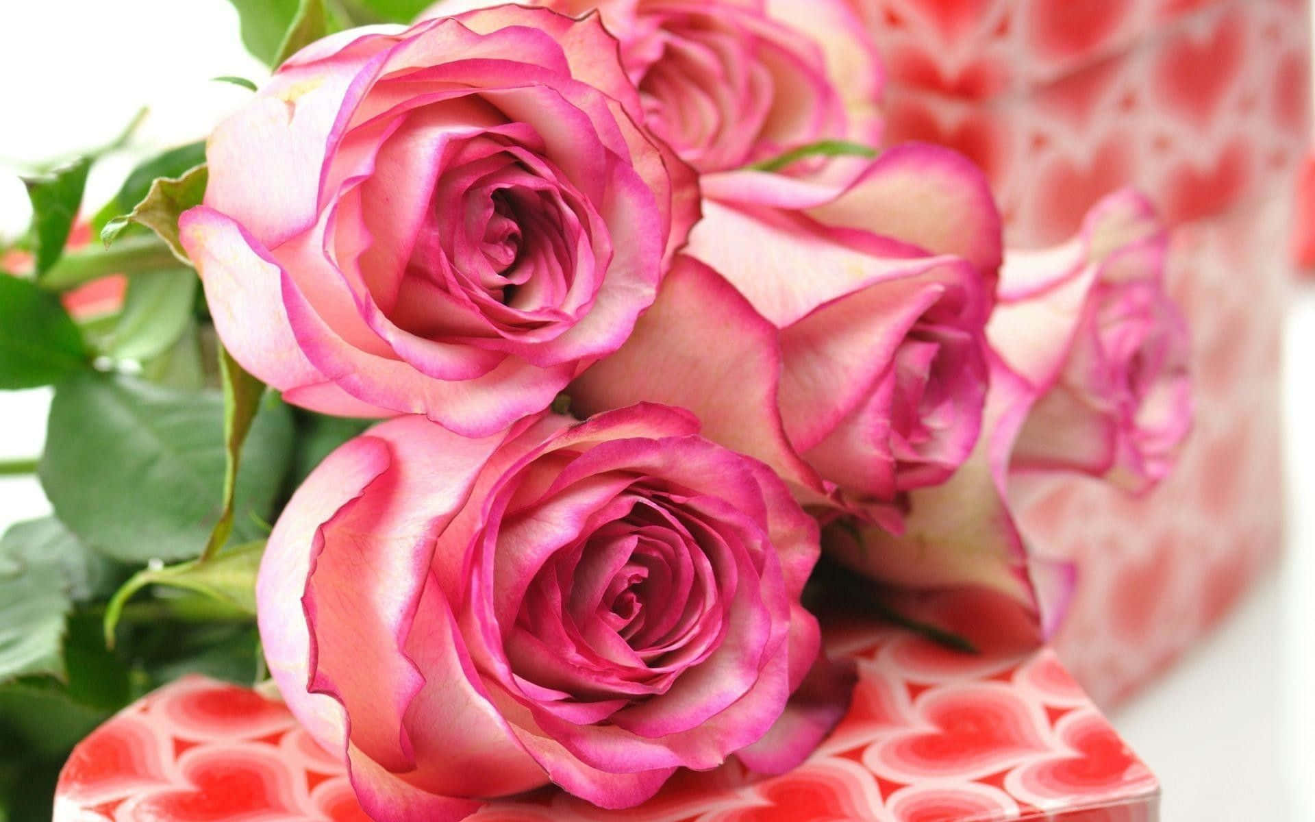 Lokkende blade af de smukkeste roser Wallpaper