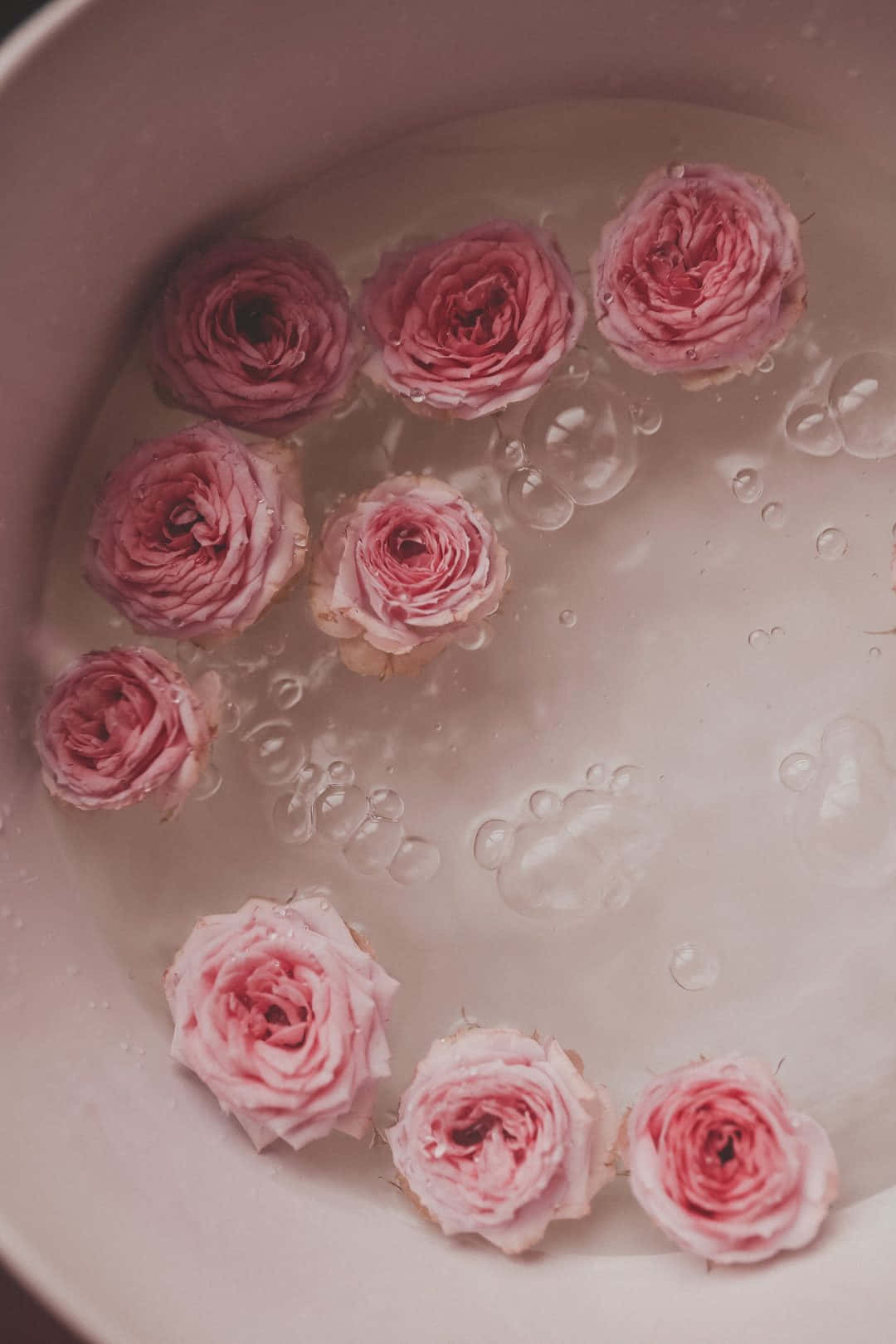 Vackrarosor Rosa Blommor Vatten Fotografi Bild