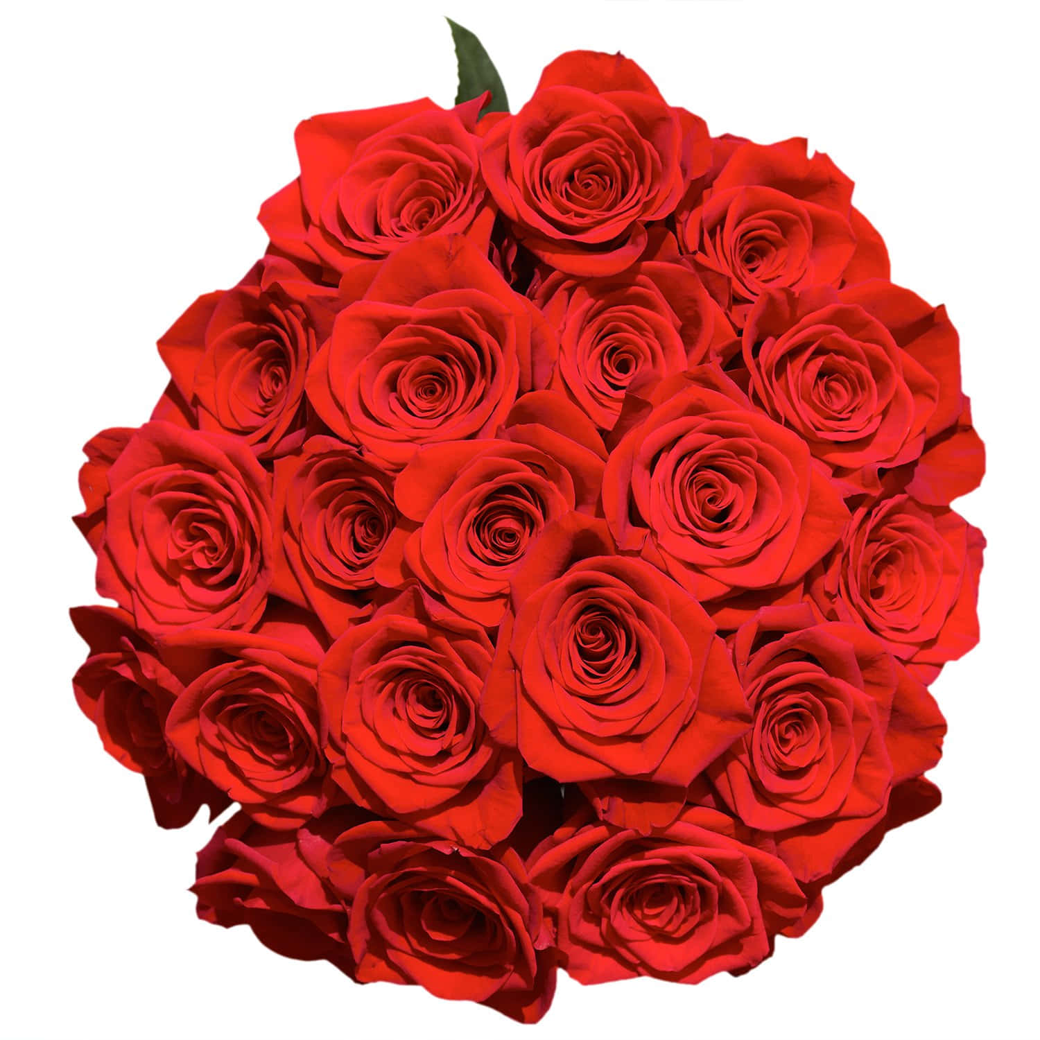 Beautiful Roses Red Flower Round Bouquet Picture