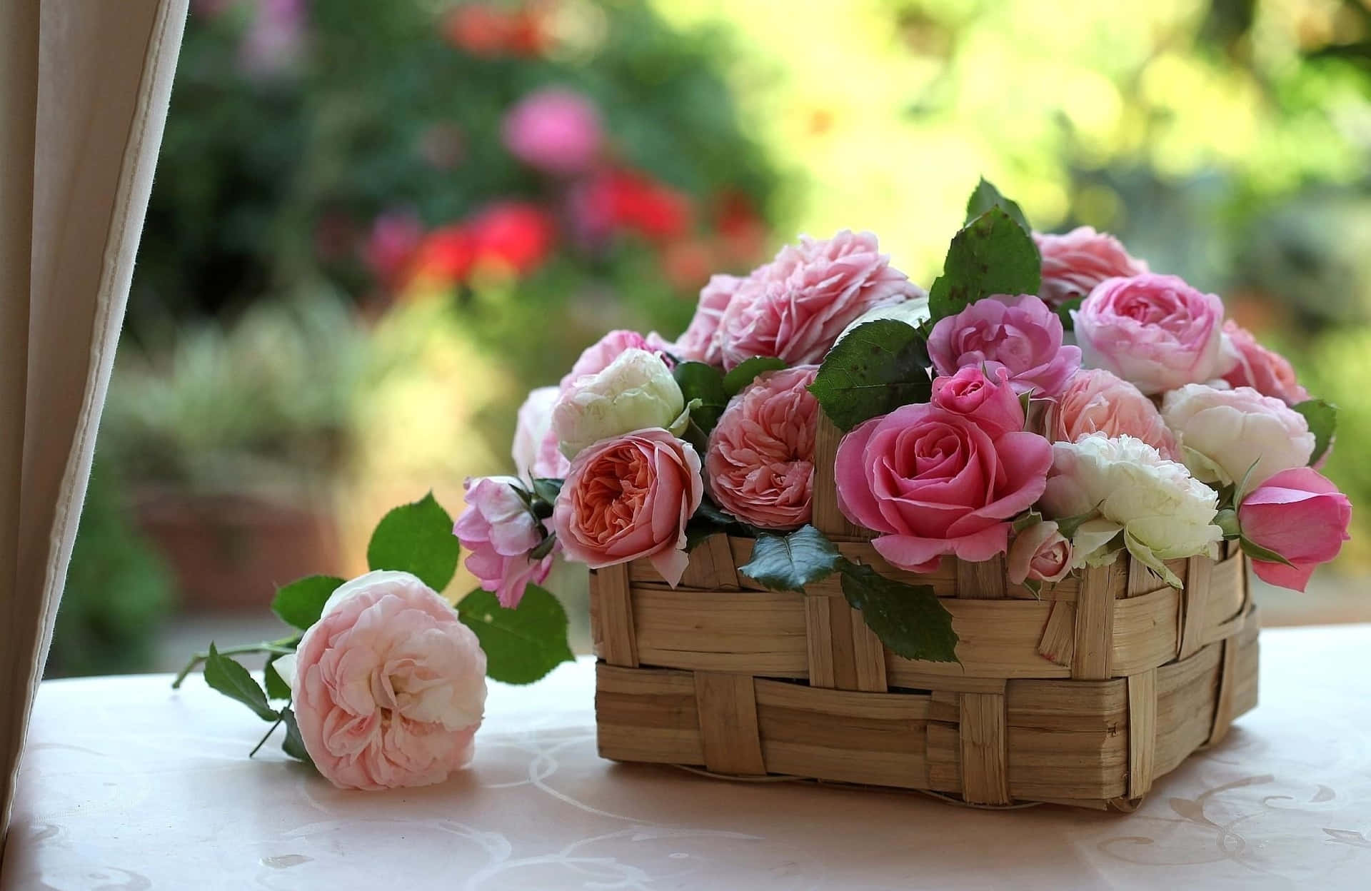 Bellissimaimmagine Fotografica Di Un Bouquet Di Rose In Un Giardino
