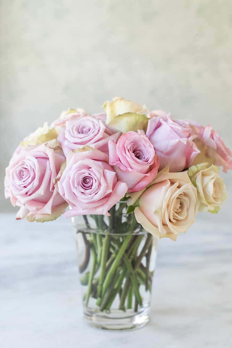 Beautiful Roses Pink Yellow Bouquet Photography Picture