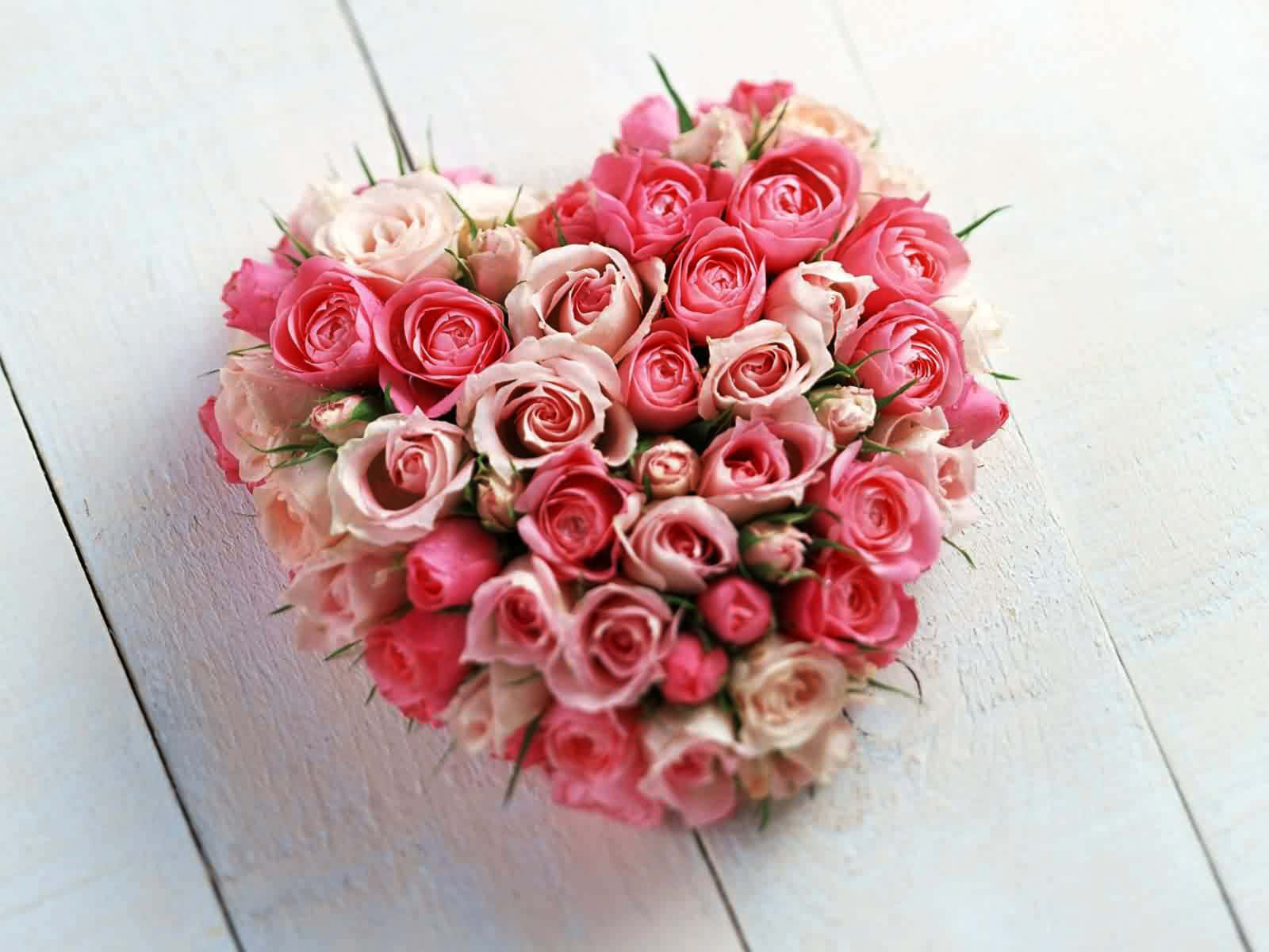 Beautiful Roses Pink Heart Bouquet Photography Picture